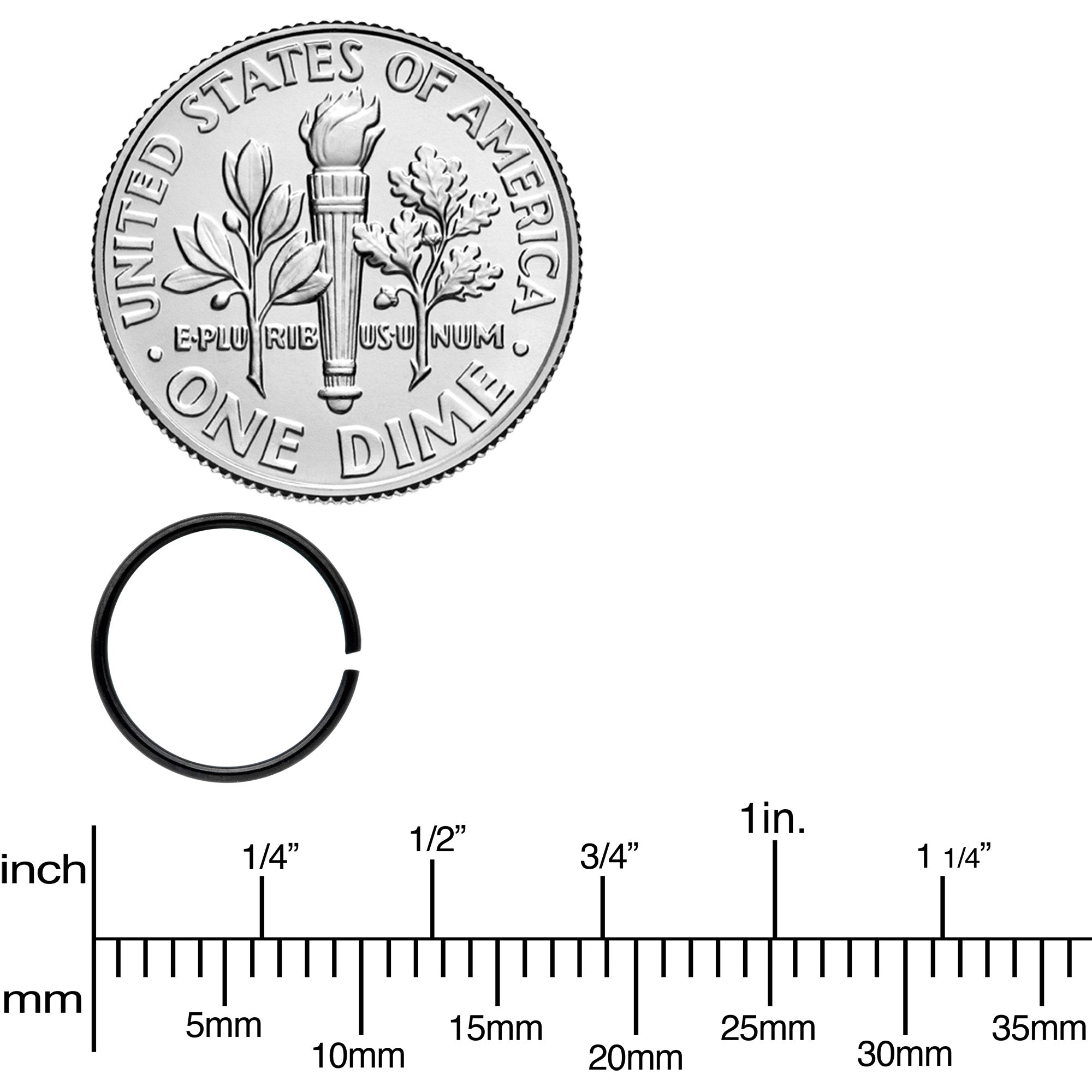 22G 5/16 Black Anodized Seamless Circular Ring Set of 12