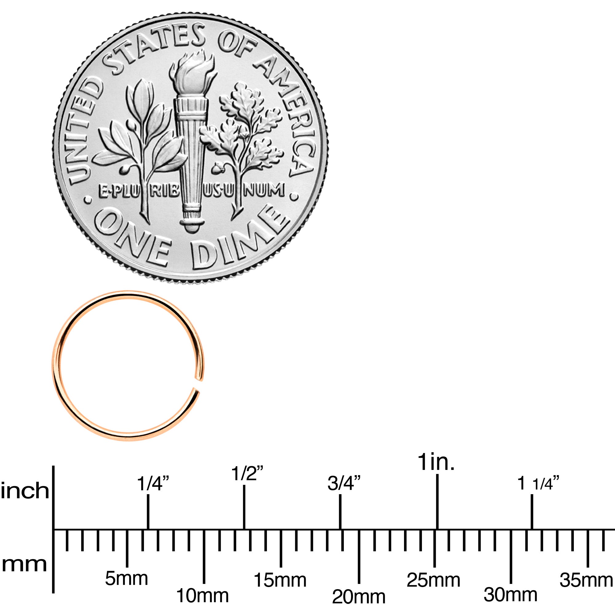 22G 5/16 Rose Gold Tone Anodized Seamless Circular Ring Set of 12