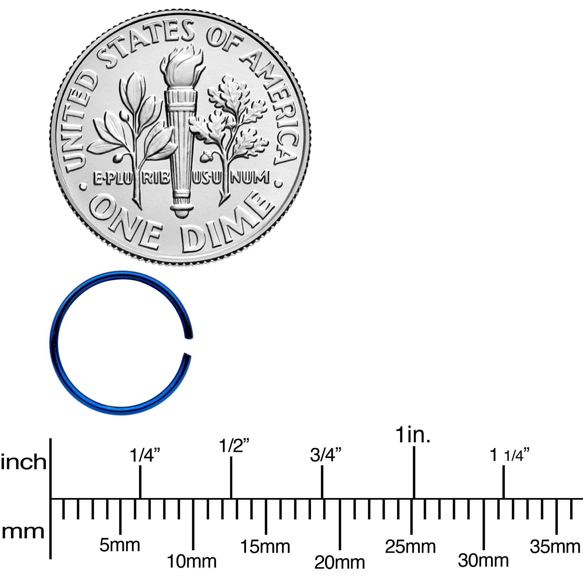 22G 5/16 Blue Anodized Seamless Circular Ring Set of 12