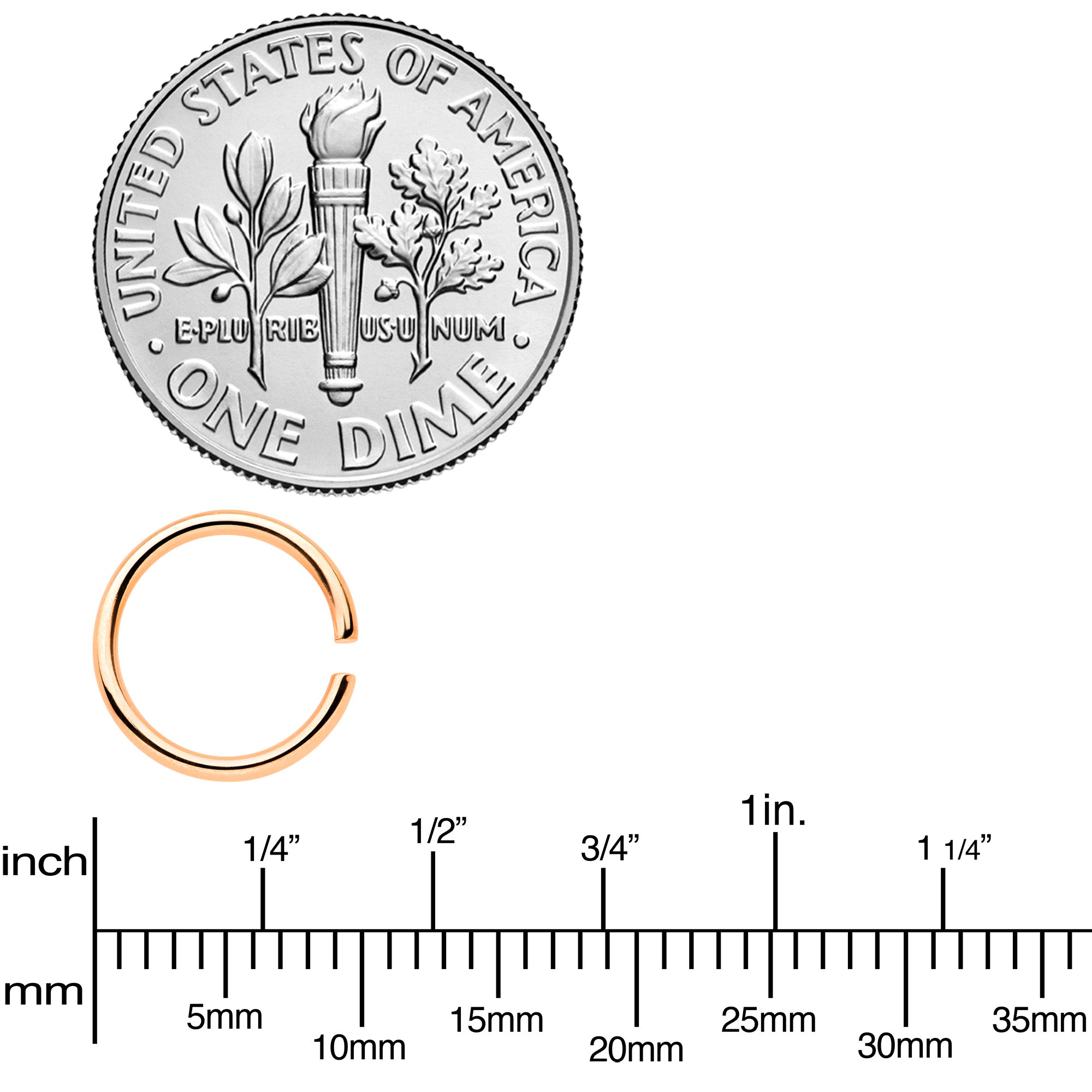 18G 5/16 Steel Rose Gold Tone Anodized Seamless Circular Ring Set of 12