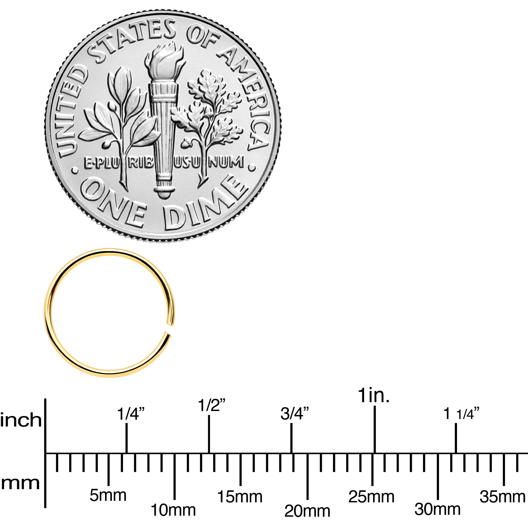 22G 5/16 Gold Tone Rose Gold Tone Anodized Seamless Circular Ring Set of 12