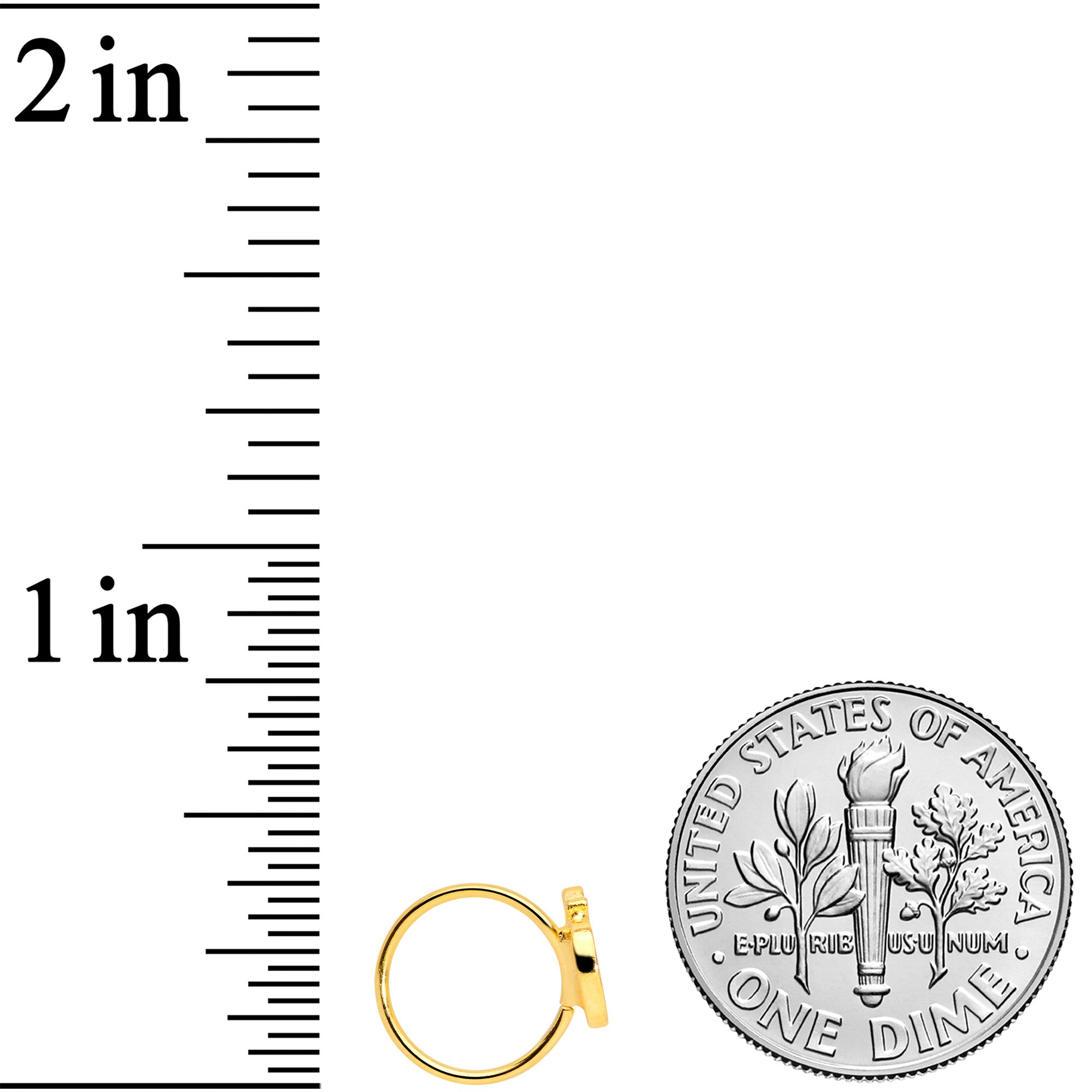 20G 5/16 Gold Tone Sweet Apple Nose Hoop