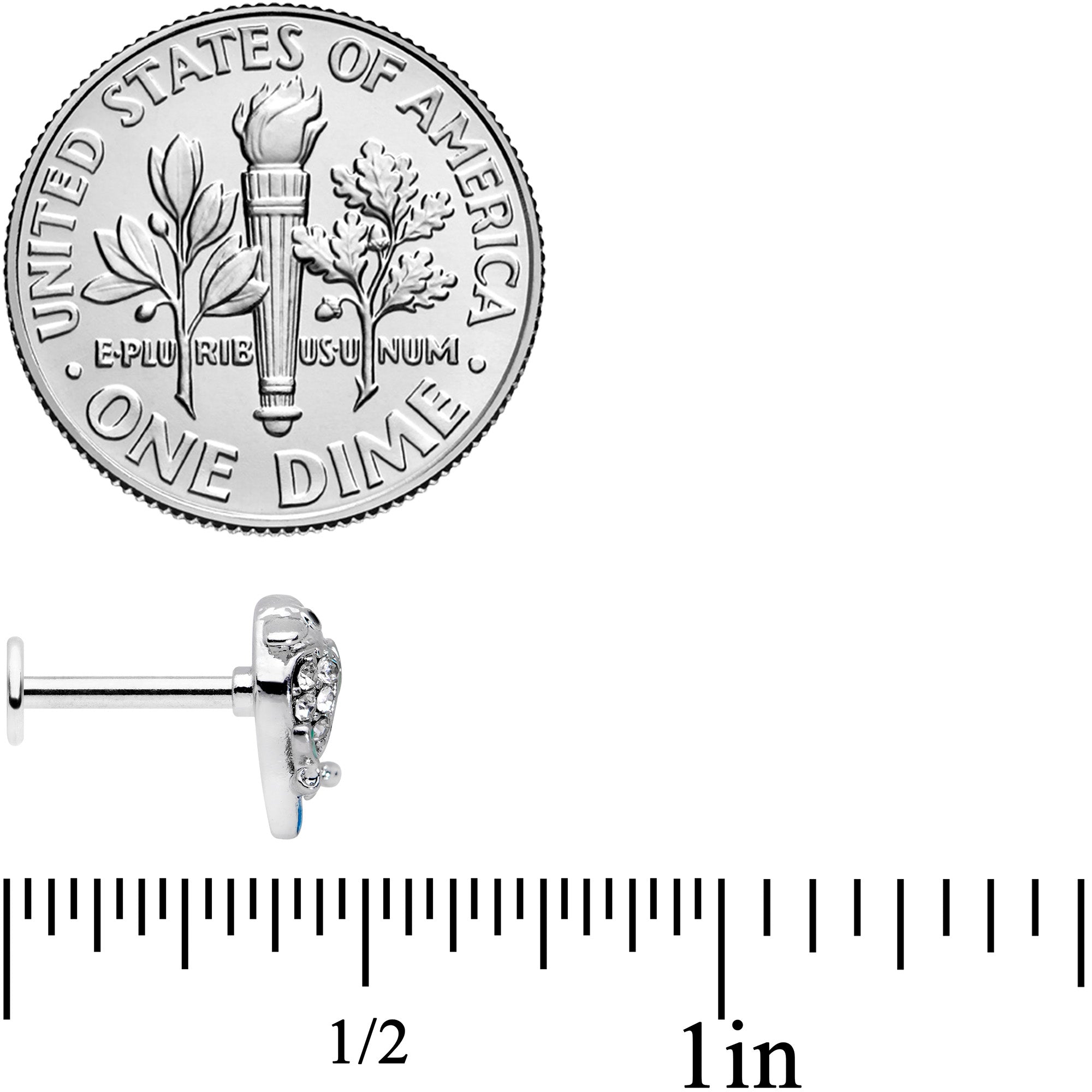 16G 5/16 Clear Gem Tropical Parrot Bird Labret Monroe Tragus