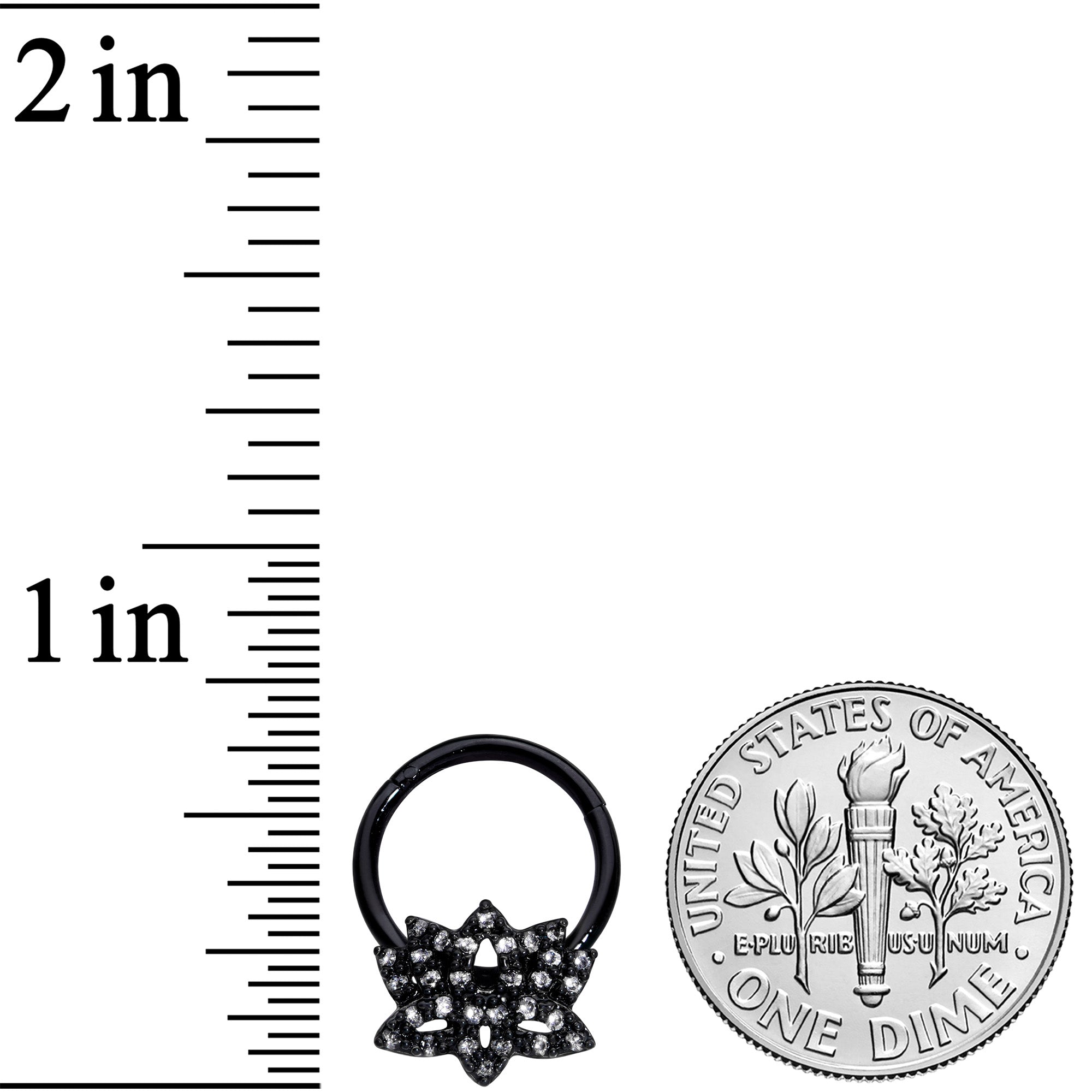 16G 3/8 Clear CZ Gem Black Lotus Flower Hinged Segment Ring