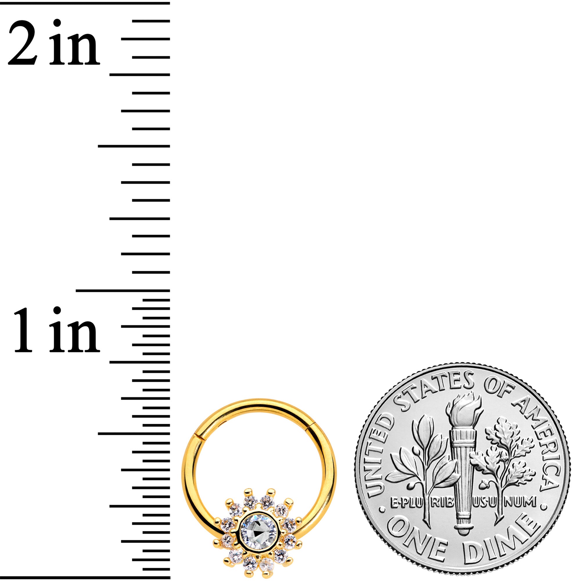 16G 3/8 Clear Gem Gold Tone Baroque Sun Hinged Segment Ring