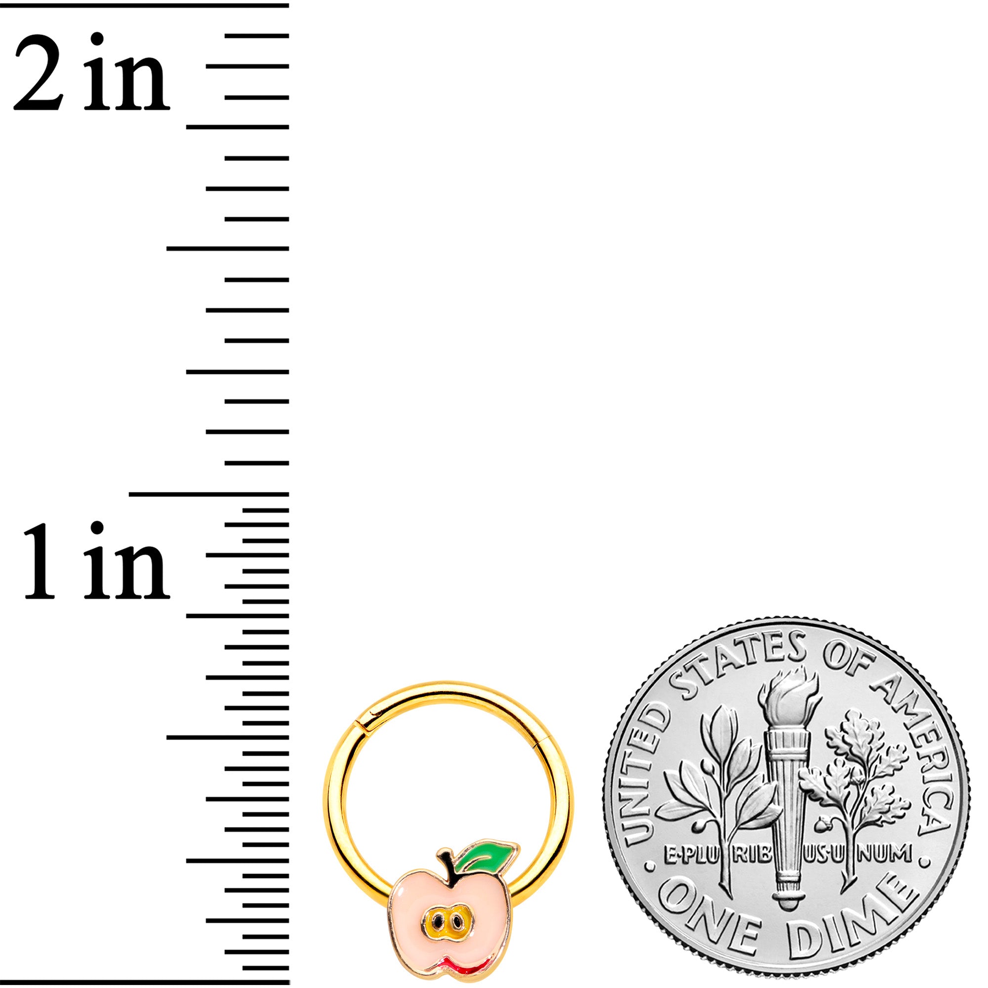 16G 3/8 Gold Tone Sweet Apple Hinged Segment Ring