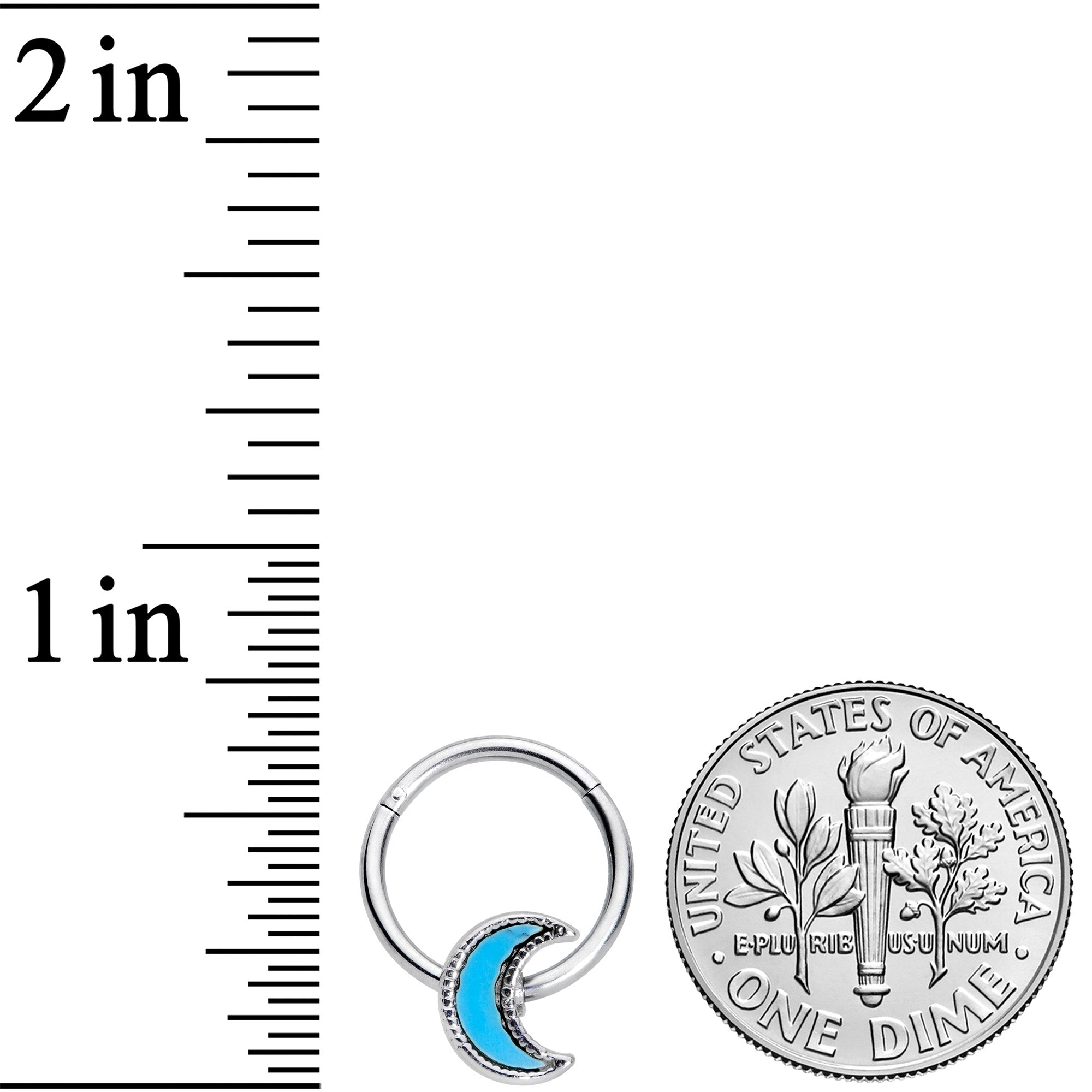 16G 3/8 Faux Turquoise Crescent Moon Hinged Segment Ring