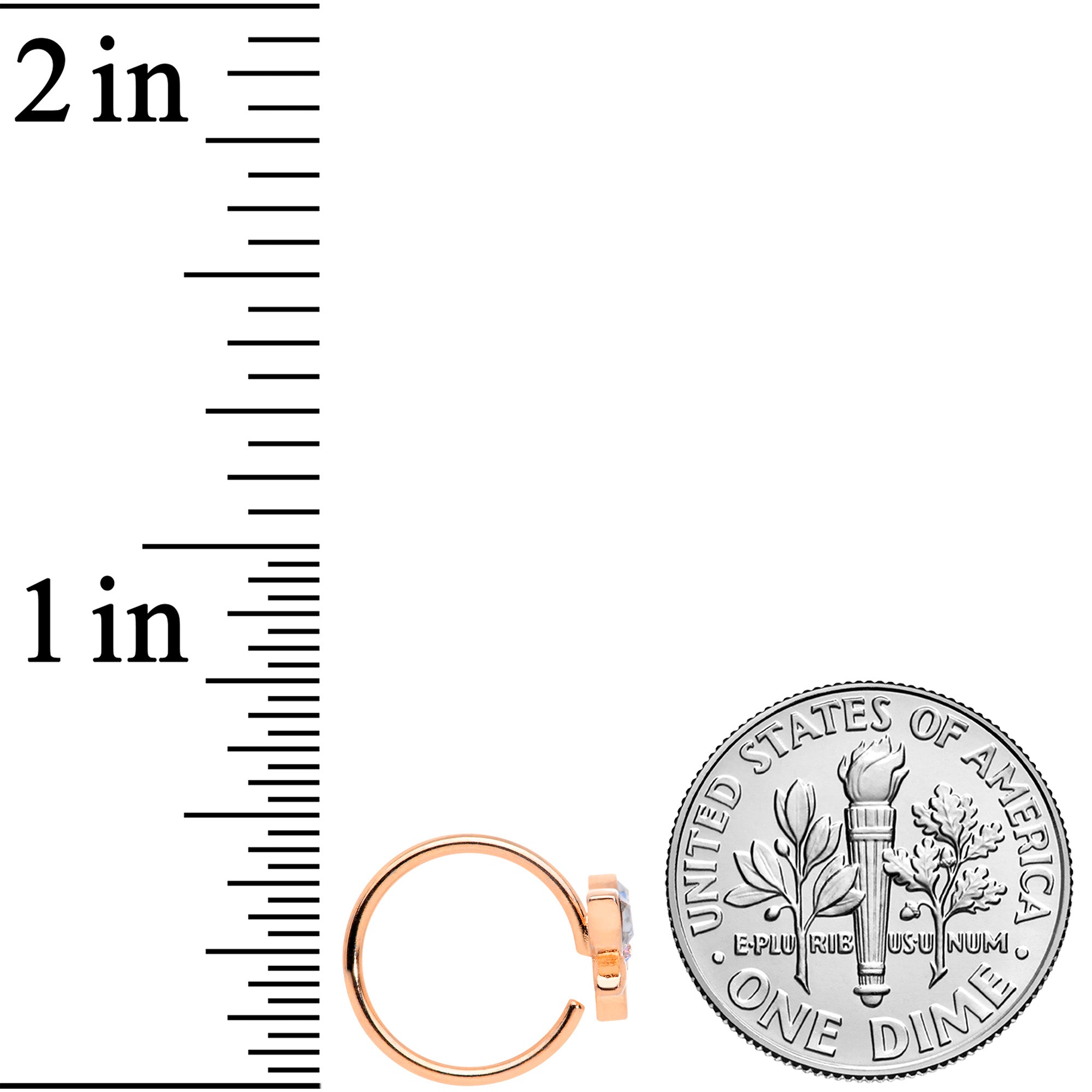 18G 3/8 Clear Aurora Gem Rose Gold Tone Loop Butterfly Nose Hoop