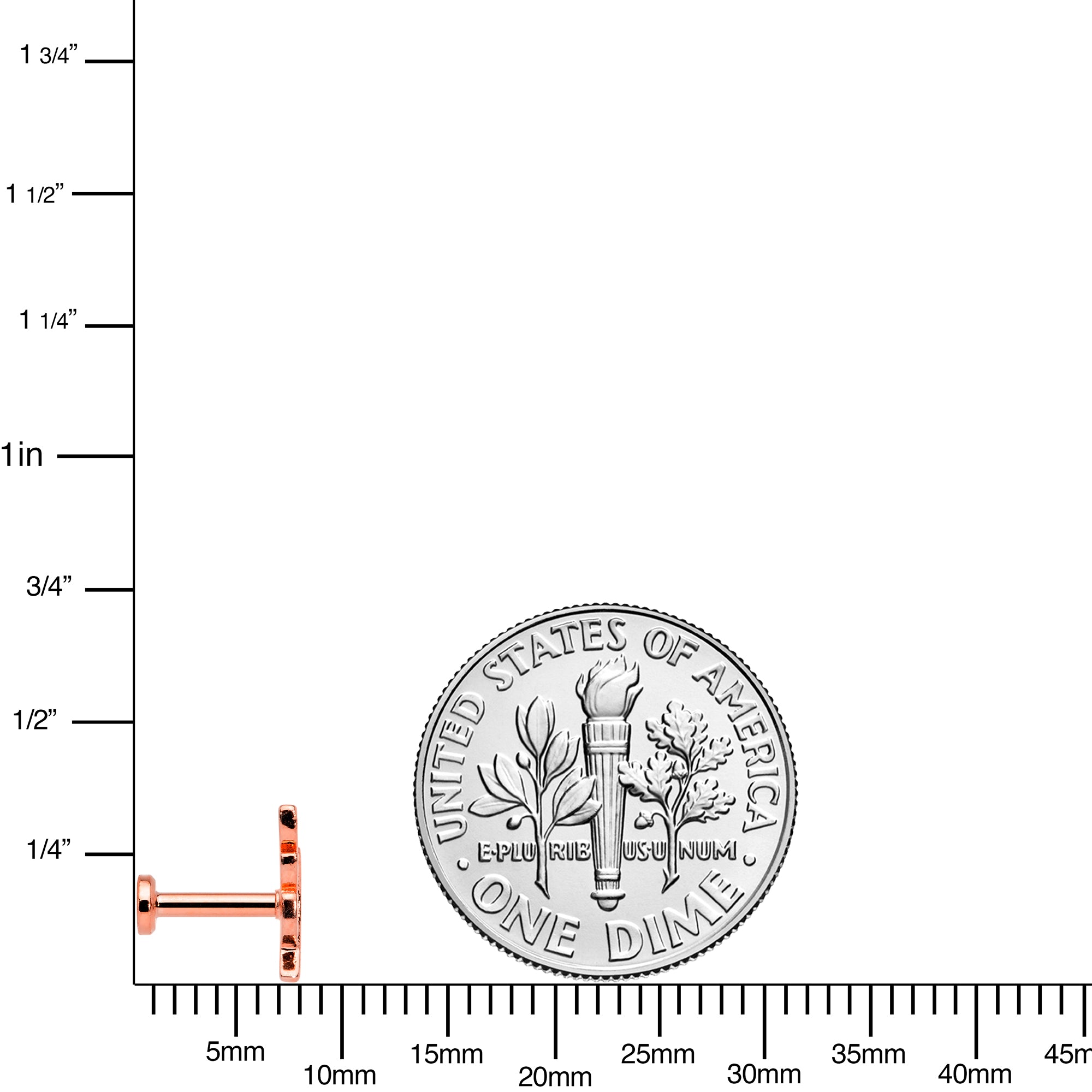 16G 1/4 Clear CZ Gem Rose Gold Tone Leaf Internal Thread Labret