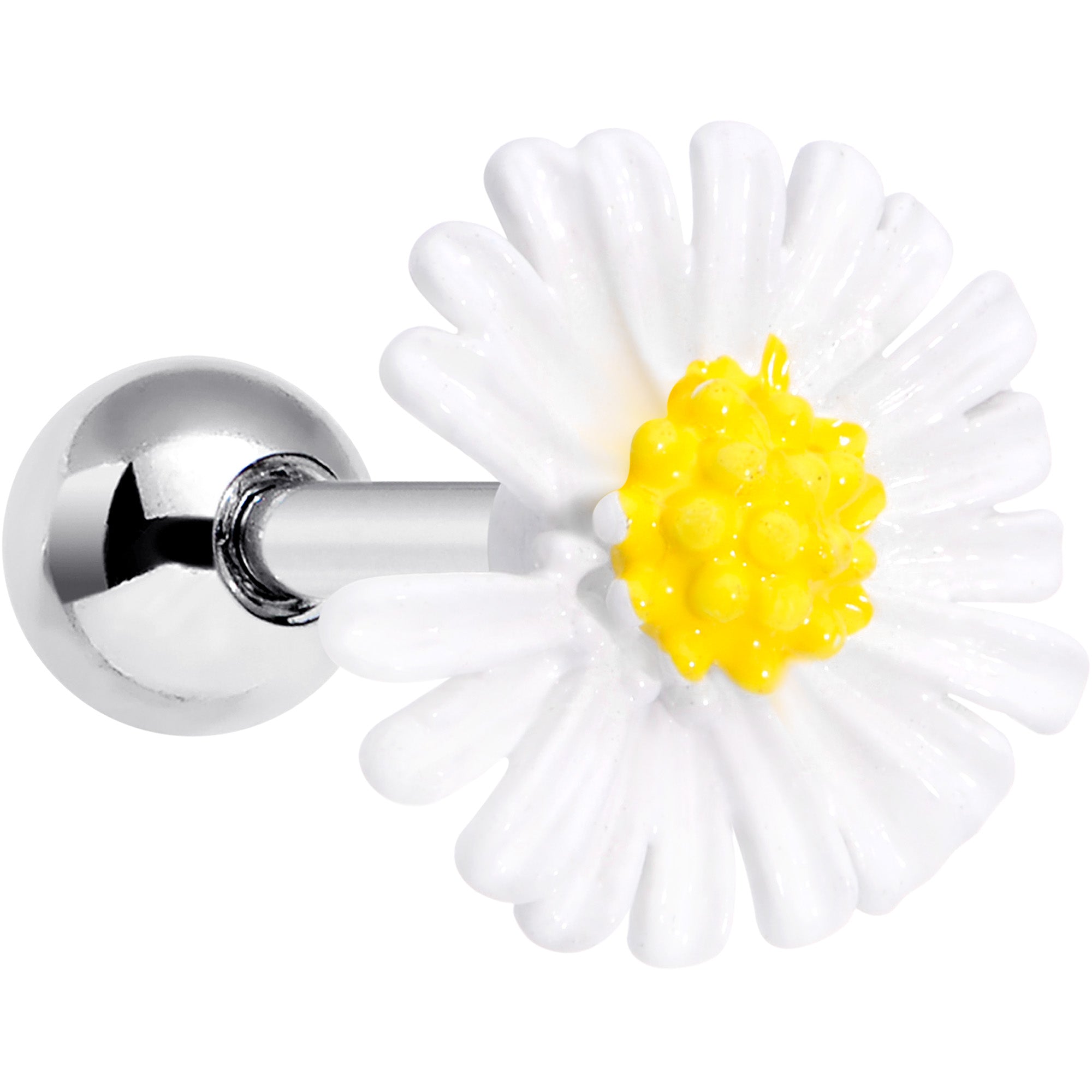 16G 1/4 White Daisy Flower Cartilage Tragus Earring