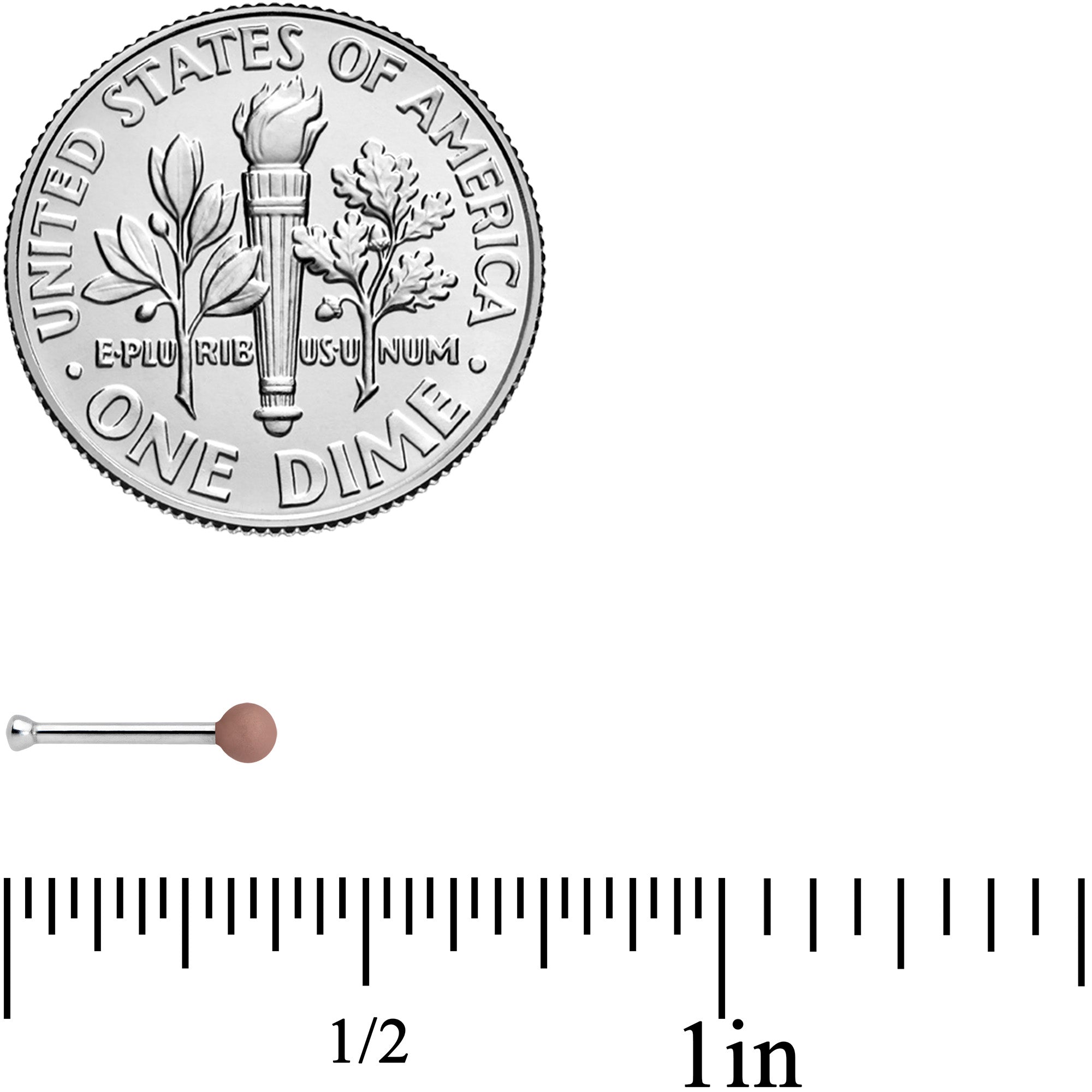 20G 1/4 Brown Matte 2mm Nose Bone