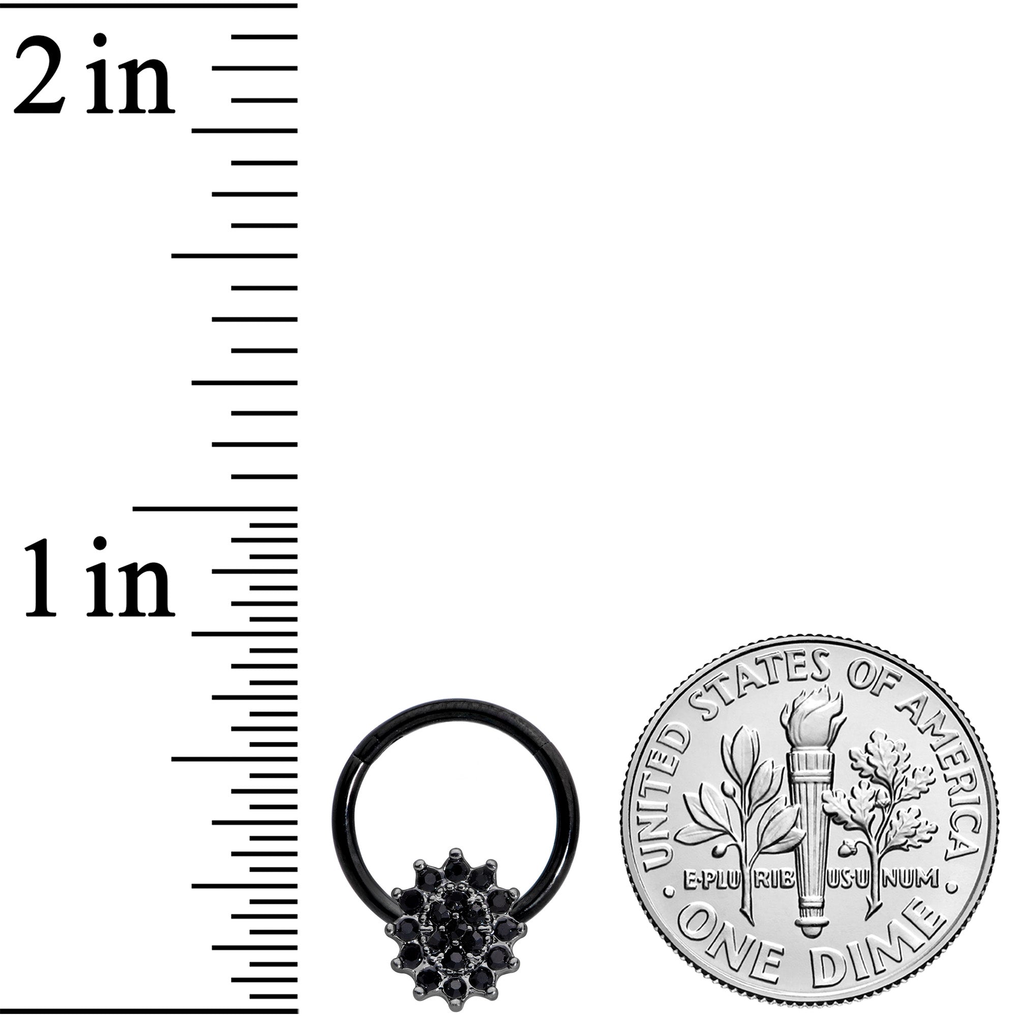 16G 3/8 Black Gem Black Oval Hinged Segment Ring