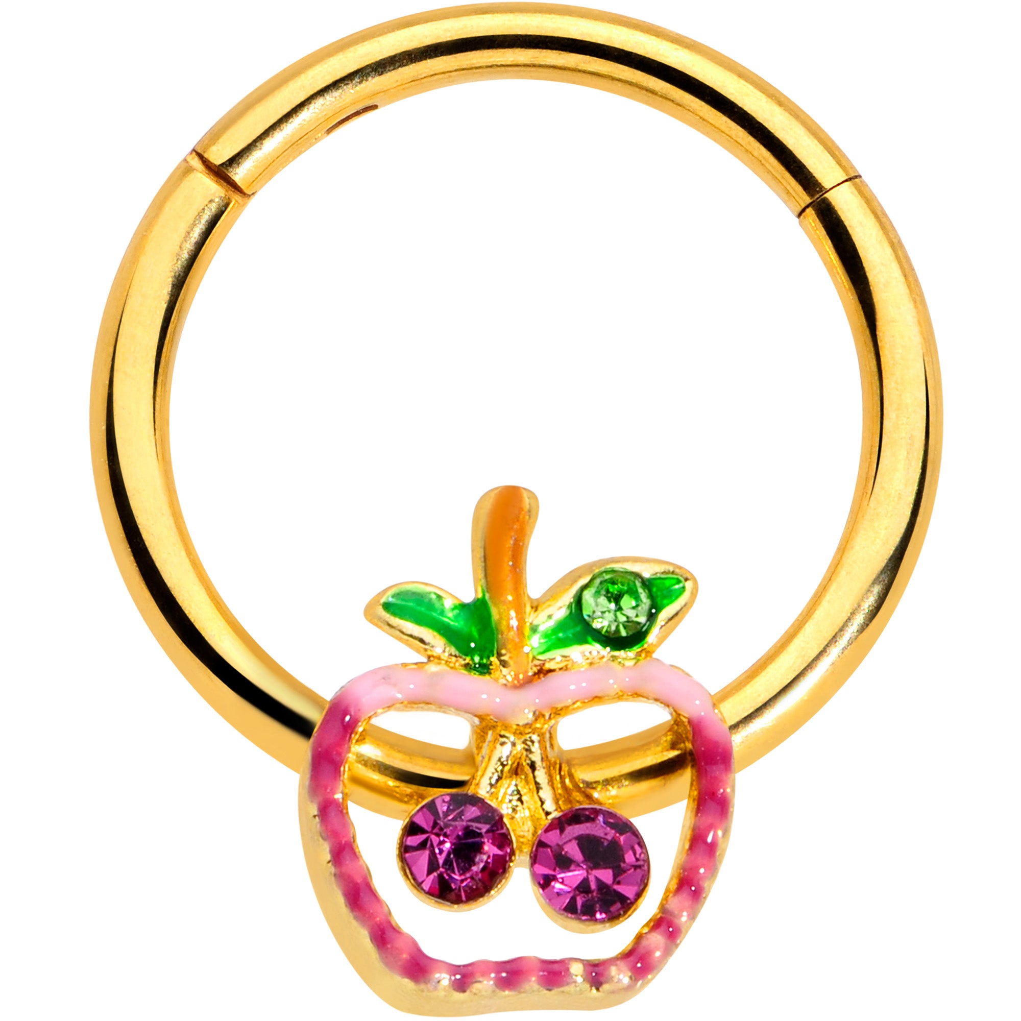16G 3/8 Pink Purple Gem Gold Hue Apple Cherry Hinged Segment Ring