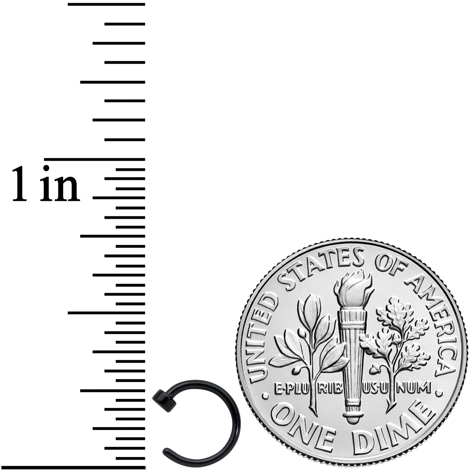 20G 1/4 Black Simple Disc Nose Hoop