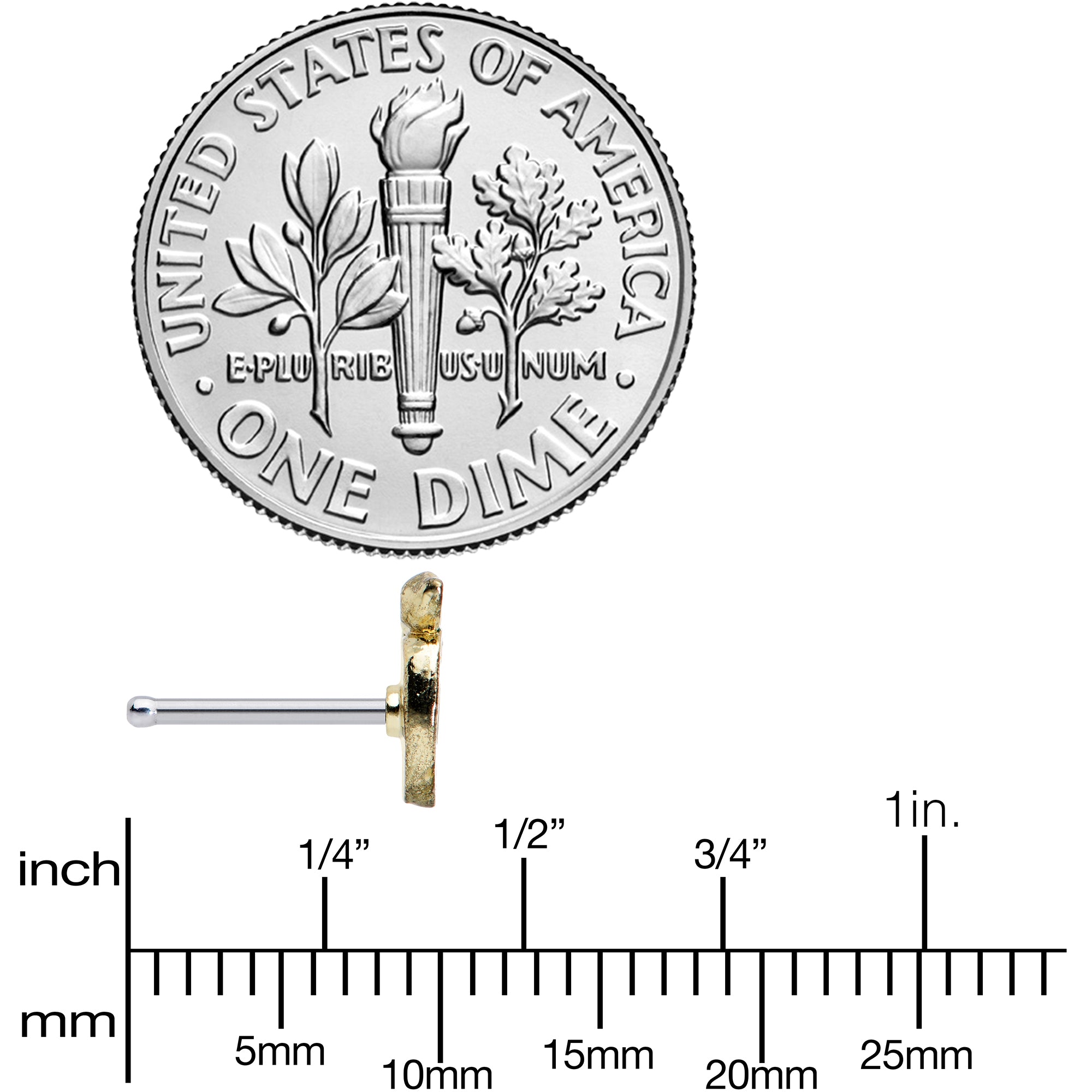 20G 1/4 Sweet Apple Delicious Fruit Nose Bone