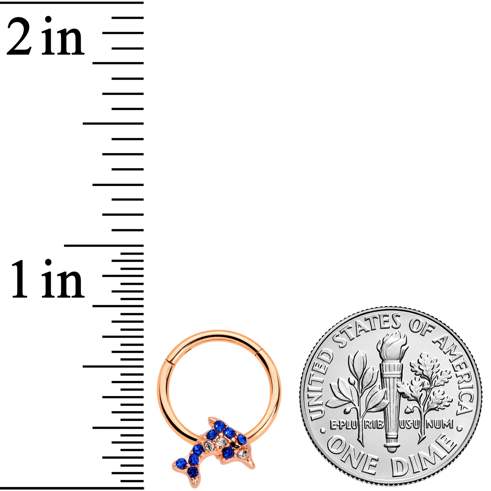16G 3/8 Blue Gem Rose Gold Tone Dolphin Hinged Segment Ring