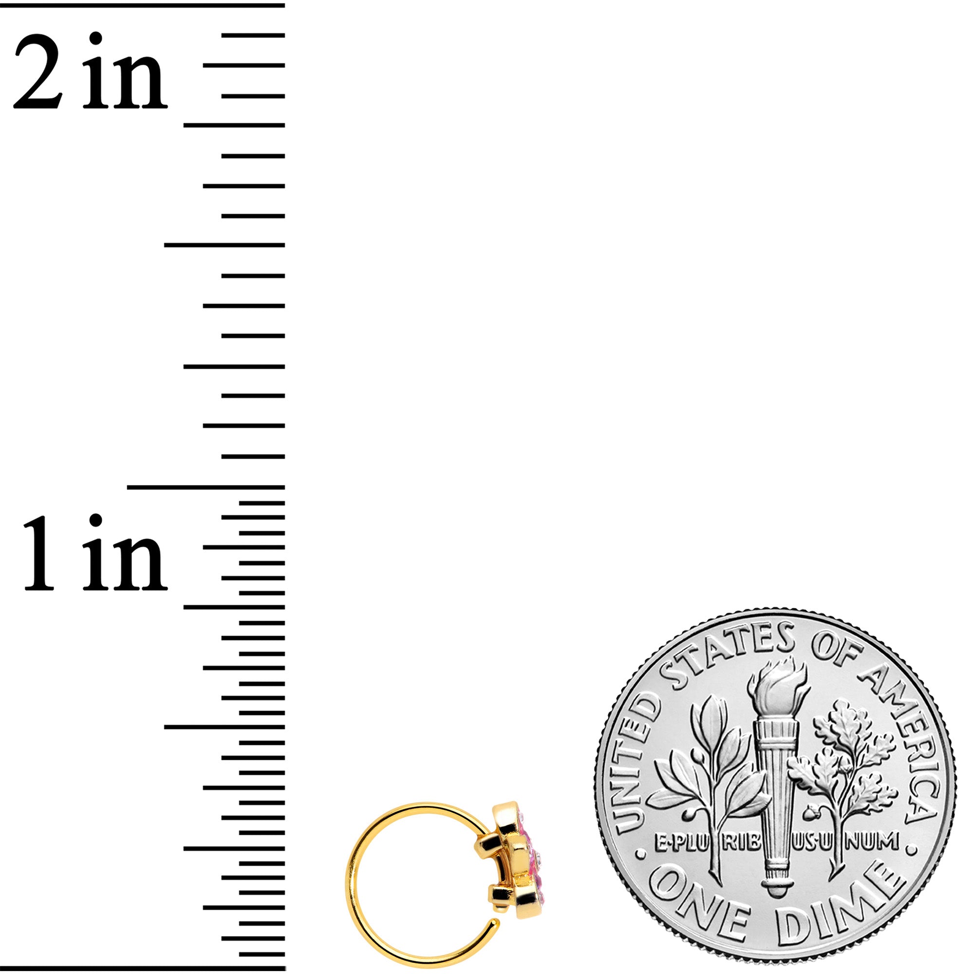 20G 5/16 Clear Purple Gem Gold Tone Fabulous Flower Nose Hoop