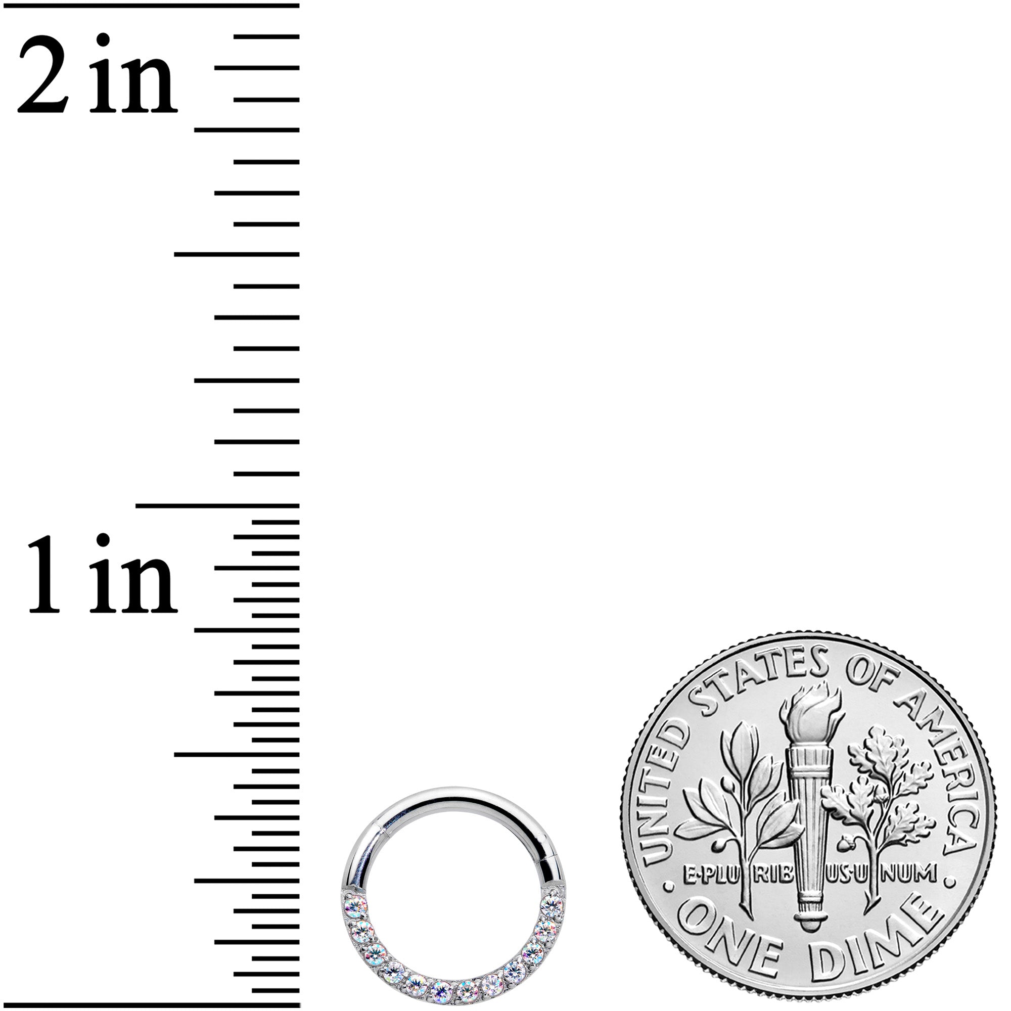 16G 5/16 Aurora Gem Paved Elegance Hinged Segment Ring