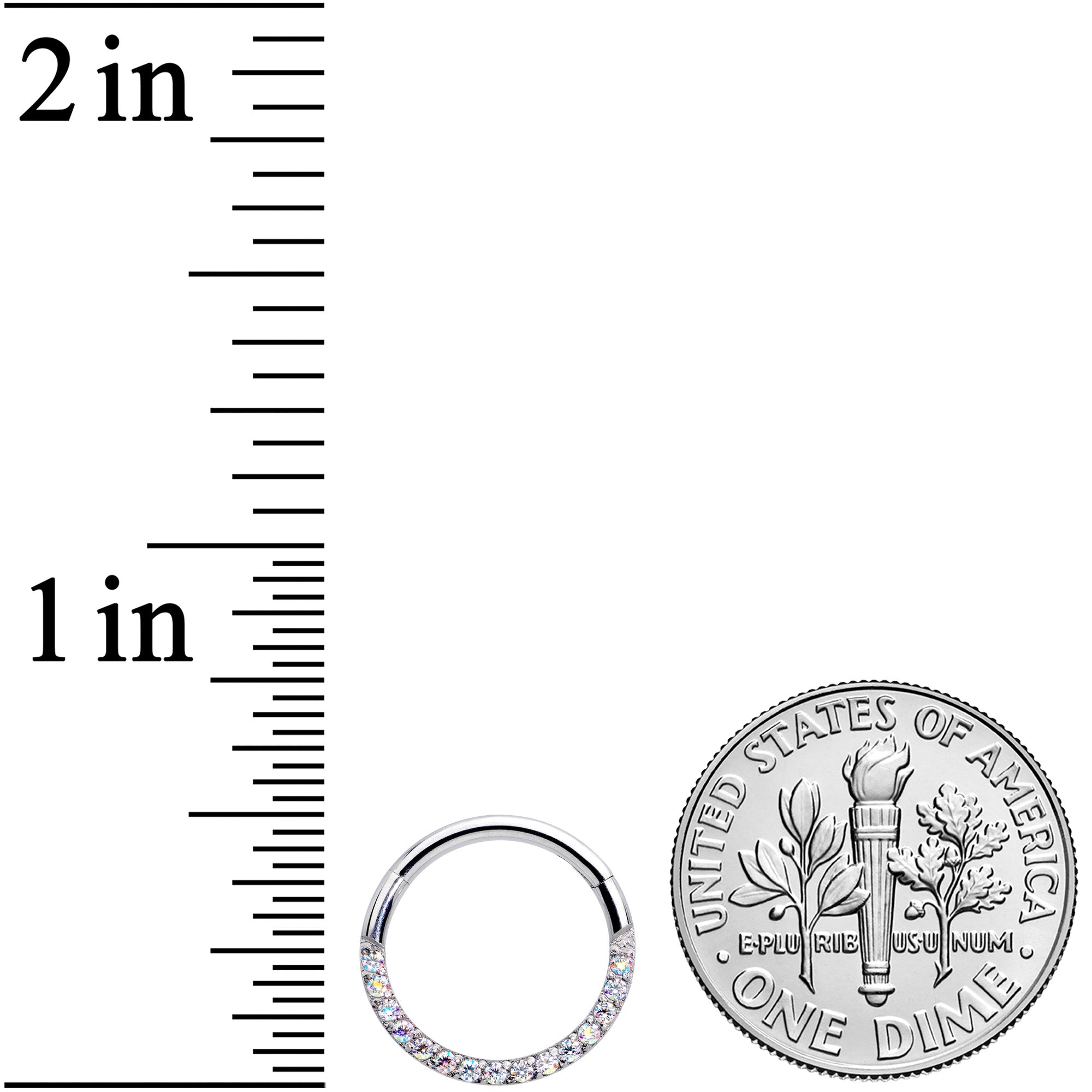 16G 3/8 Aurora Gem Paved Elegance Hinged Segment Ring