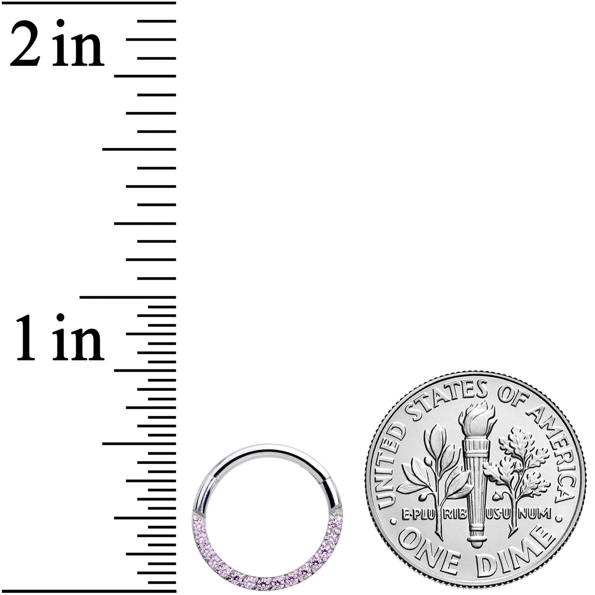 16G 3/8 Pink Gem Paved Elegance Hinged Segment Ring