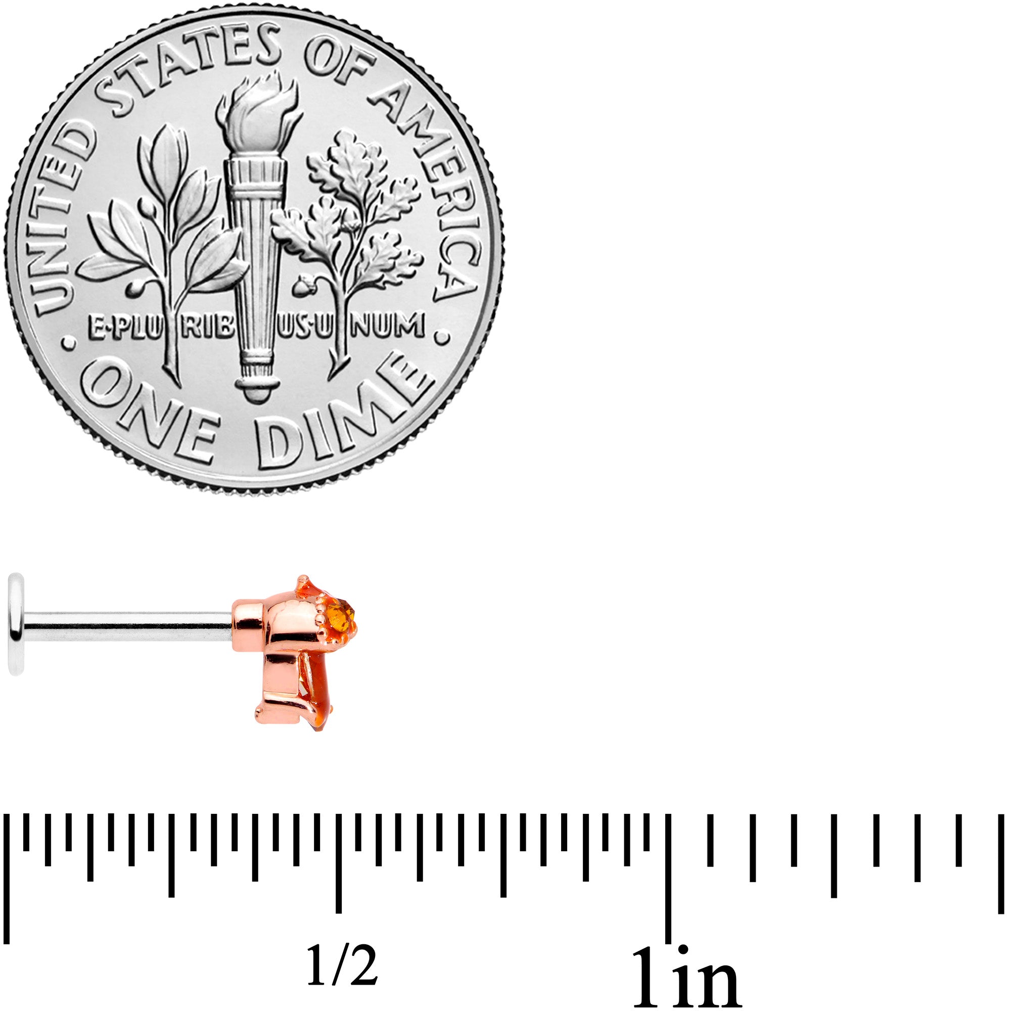 16G 5/16 Brown Gem Fall Autumn Acorn Labret Monroe Tragus