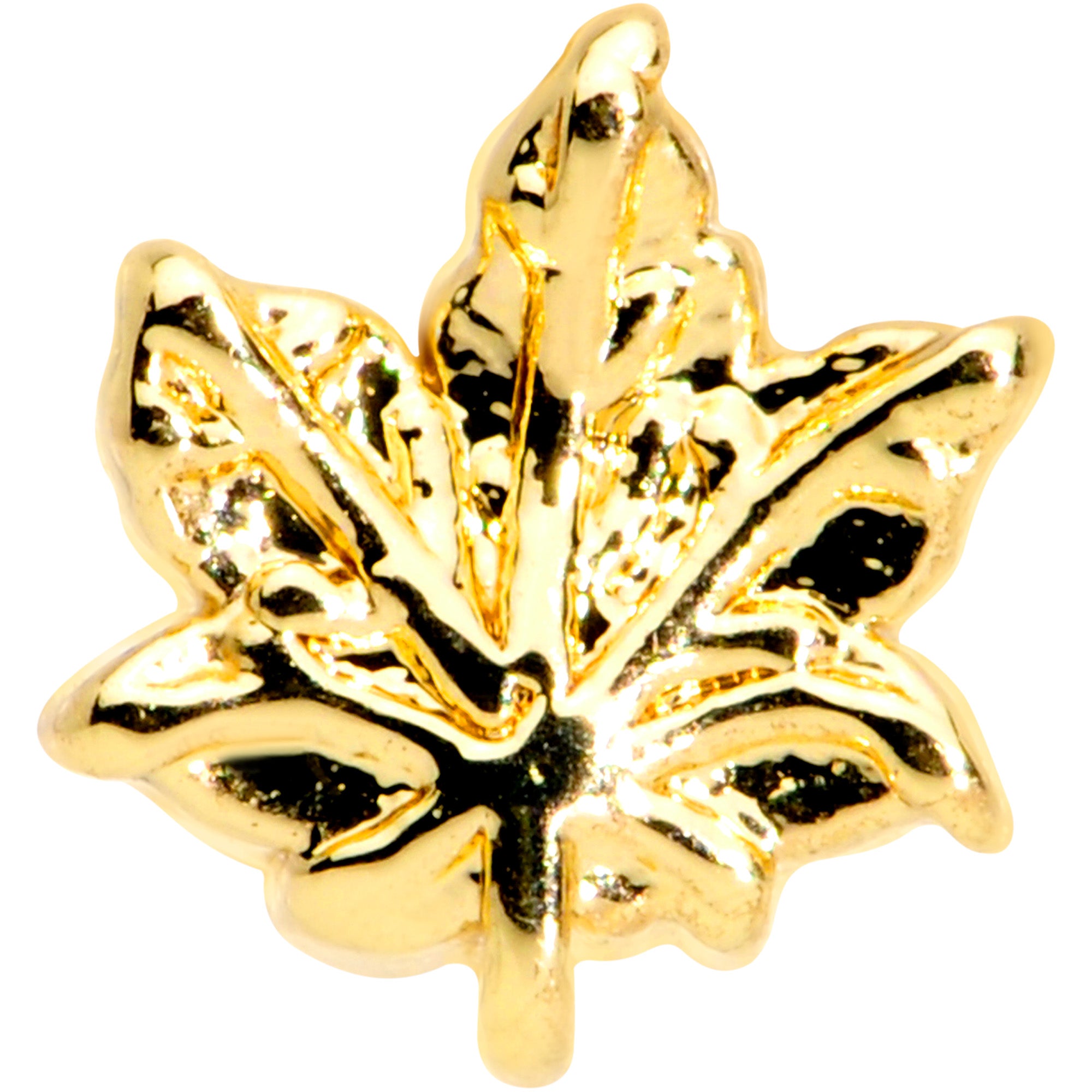 16G 5/16 Gold Tone Pot Leaf Labret Monroe Tragus