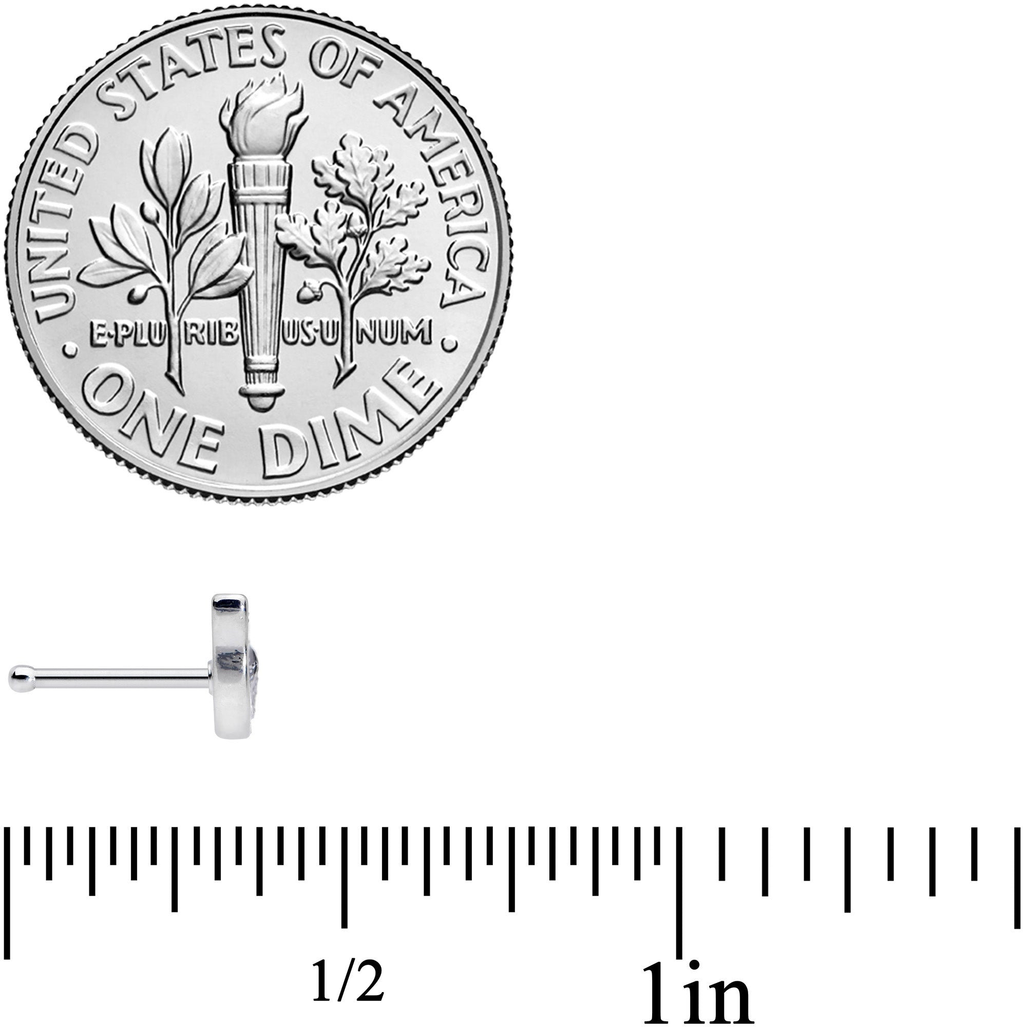 20G 1/4 Sweet Smiling Whale Nose Bone