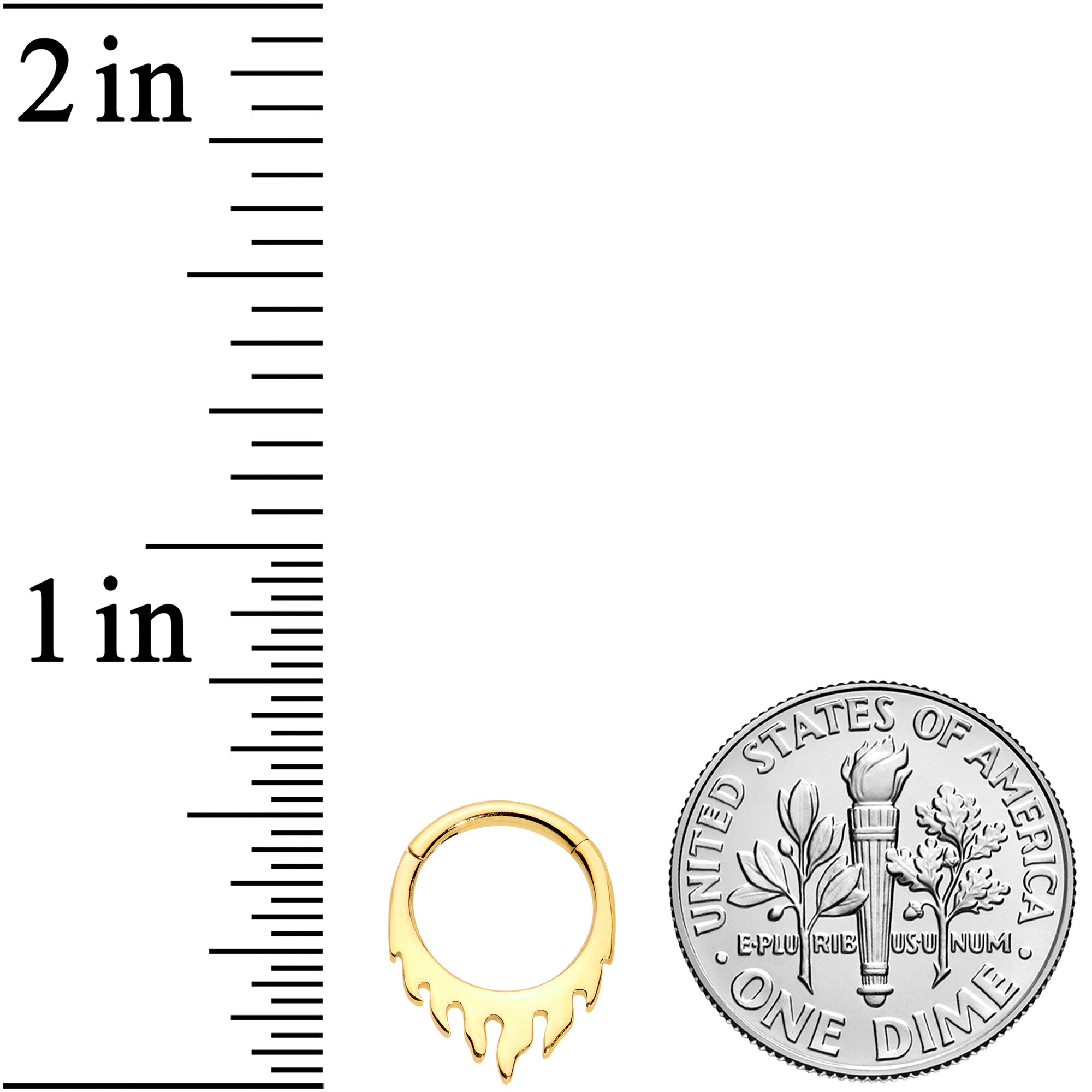 16G 5/16 Gold Tone Flames of Style Fire Hinged Segment Ring