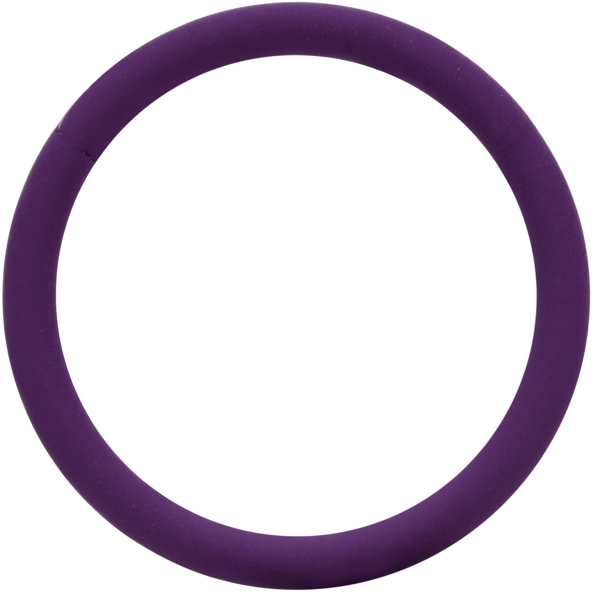 18G 3/8 Purple Matte Cartilage Hinged Segment Ring