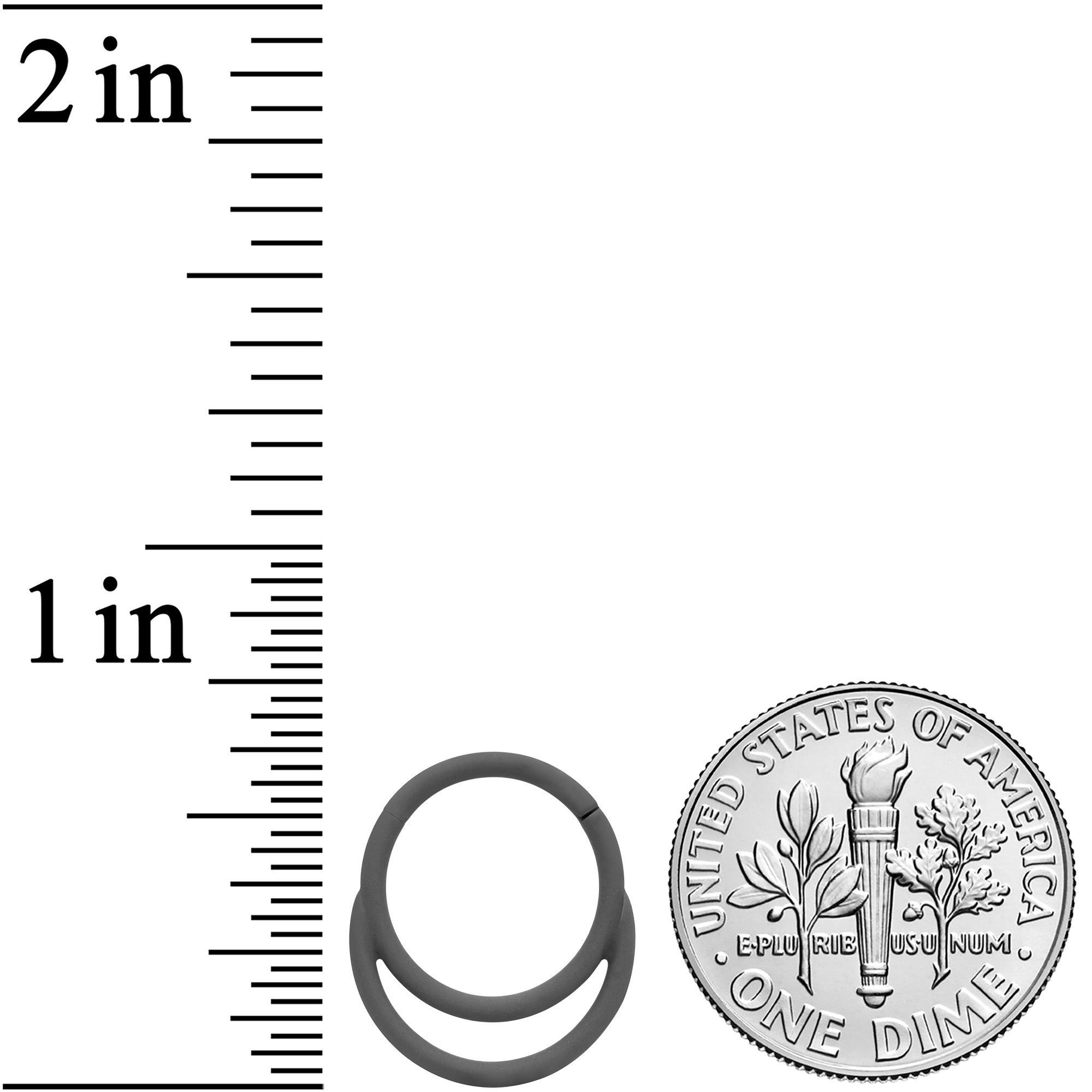 18G 3/8 Grey Matte Double Circle Hinged Segment Ring