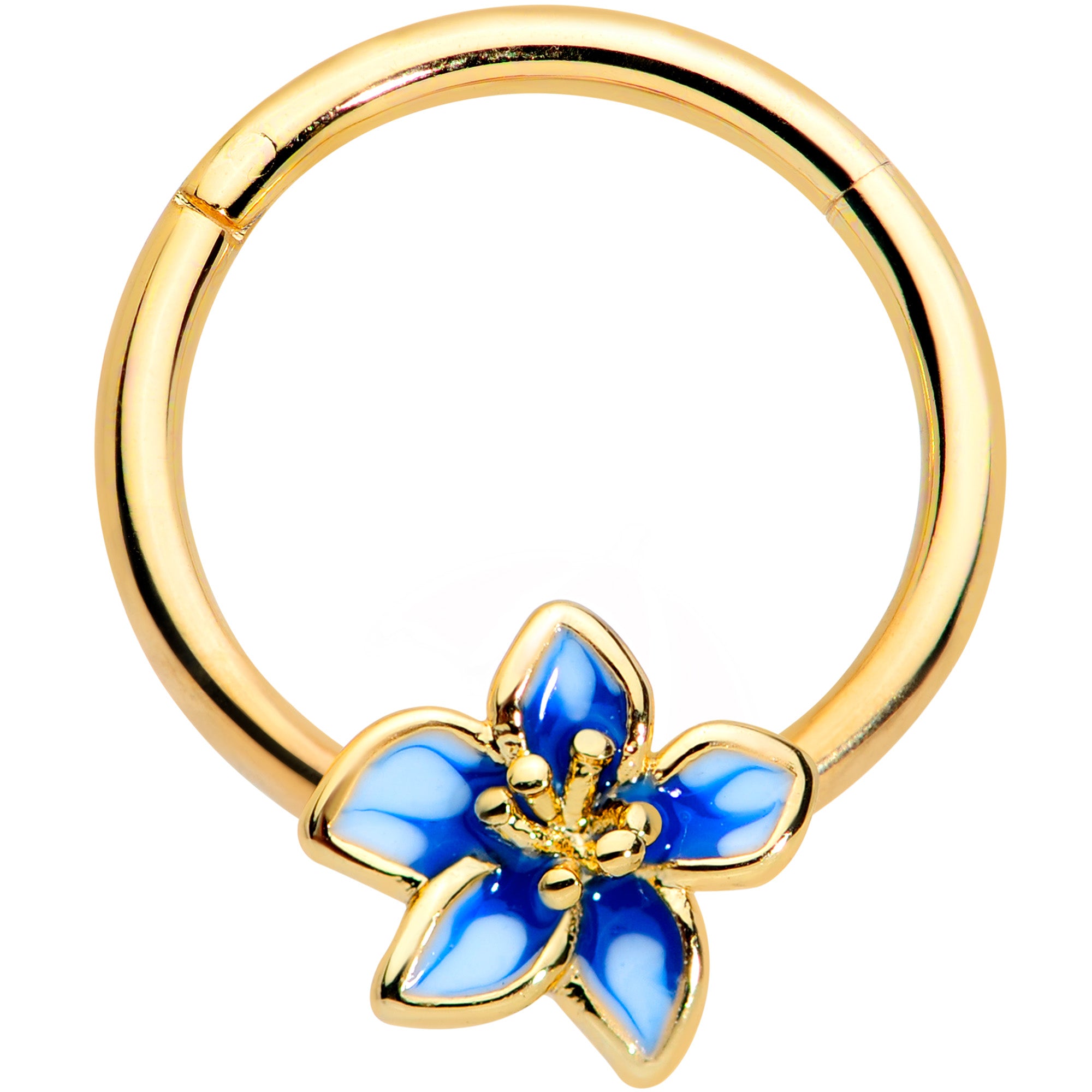 16G 3/8 Gold Tone White Blue Flower Hinged Segment Ring