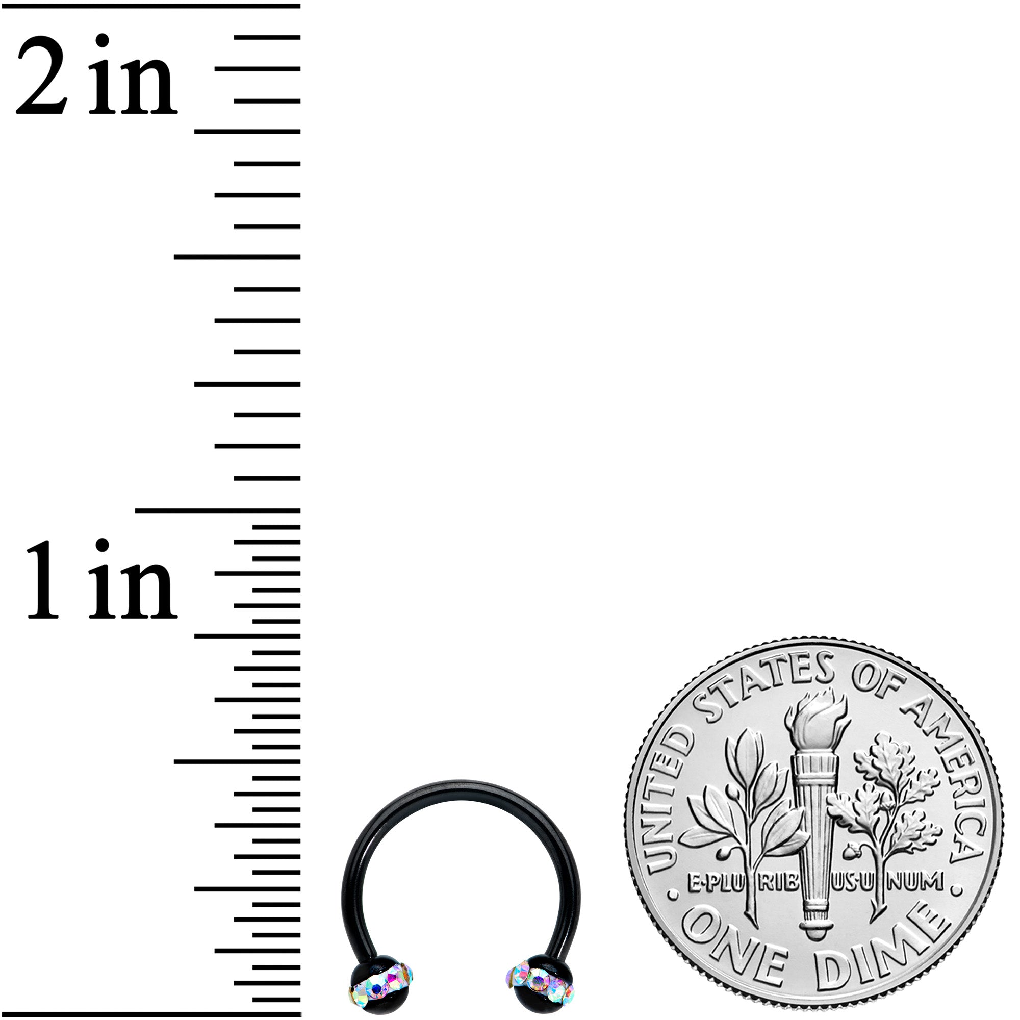 16G 3/8 Aurora Gem Black Banded Horseshoe Circular Barbell