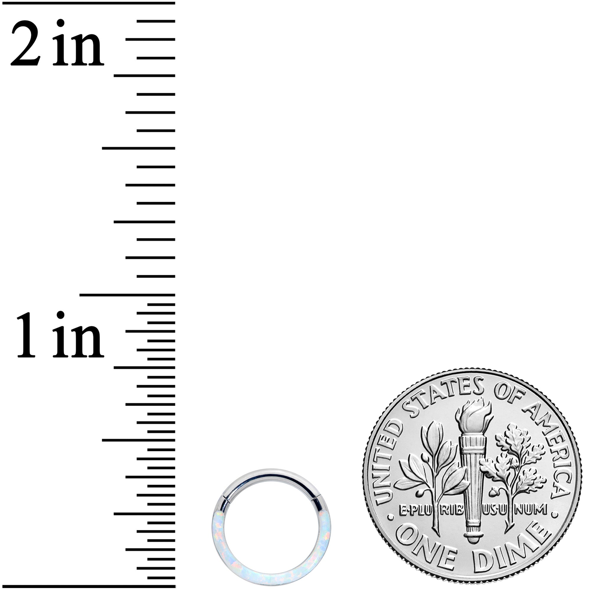 16G 5/16 White Synthetic Opal Implant Grade Titanium Segment Ring