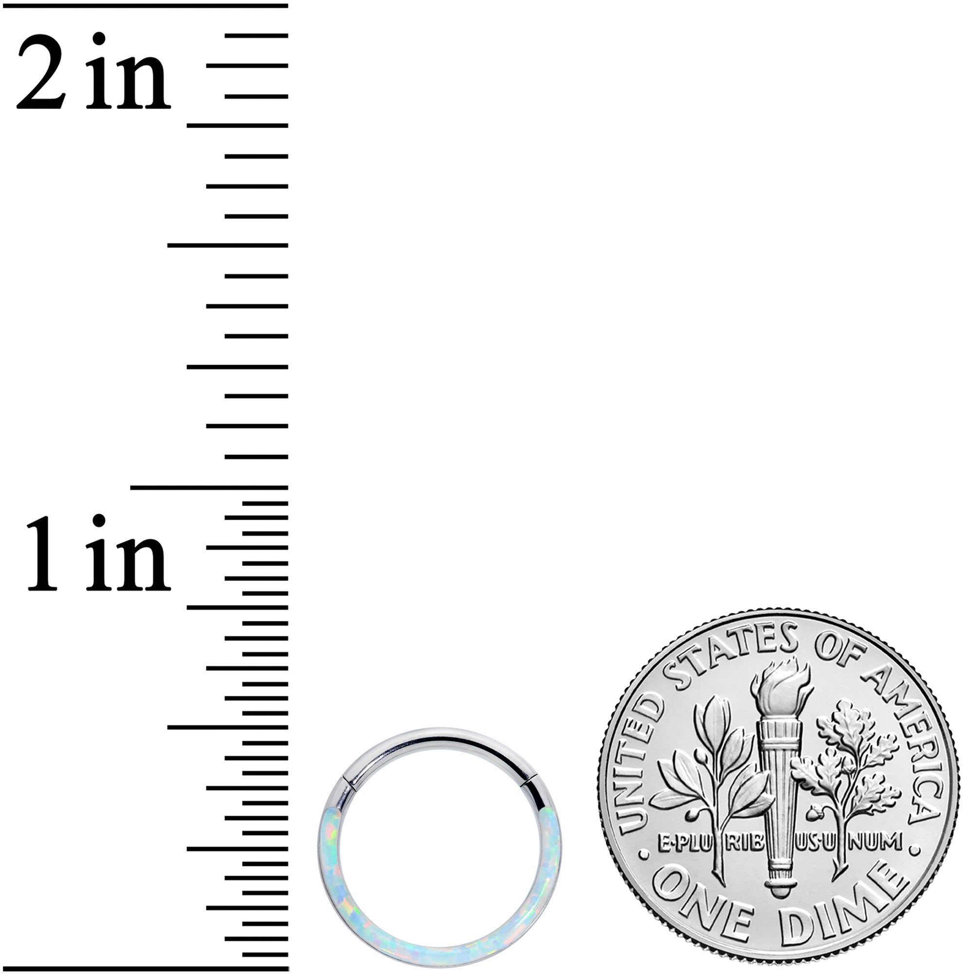 16G 3/8 White Synthetic Opal Implant Grade Titanium Segment Ring