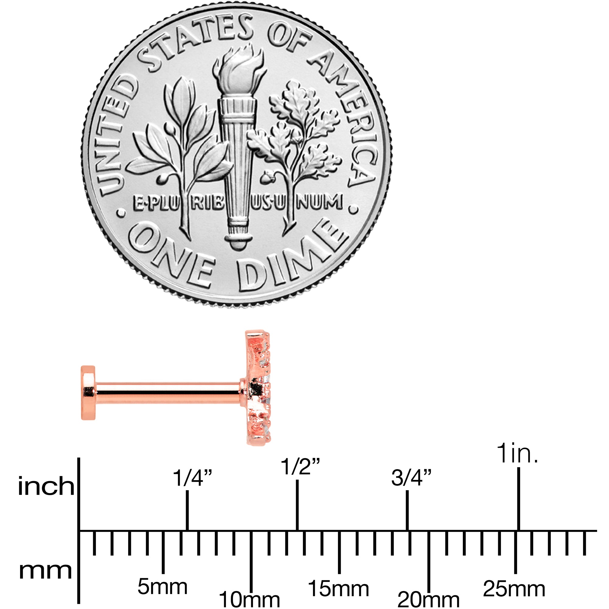 16G 5/16 Clear CZ Gem Rose Gold Tone Moon Internal Thread Labret