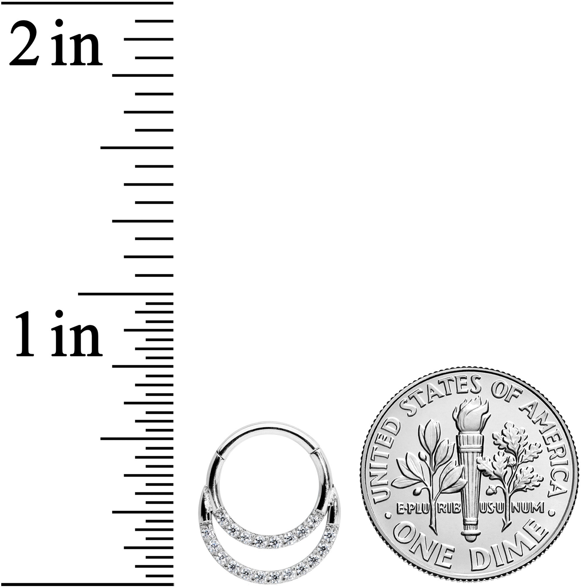 16G 5/16 Clear CZ Gem Double Row Hinged Segment Ring