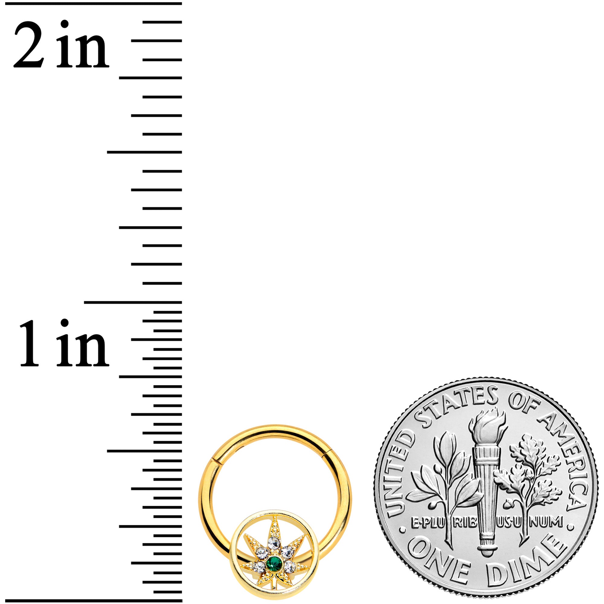 16G 3/8 Clear Gem Gold Tone Pot Leaf Circle Hinged Segment Ring