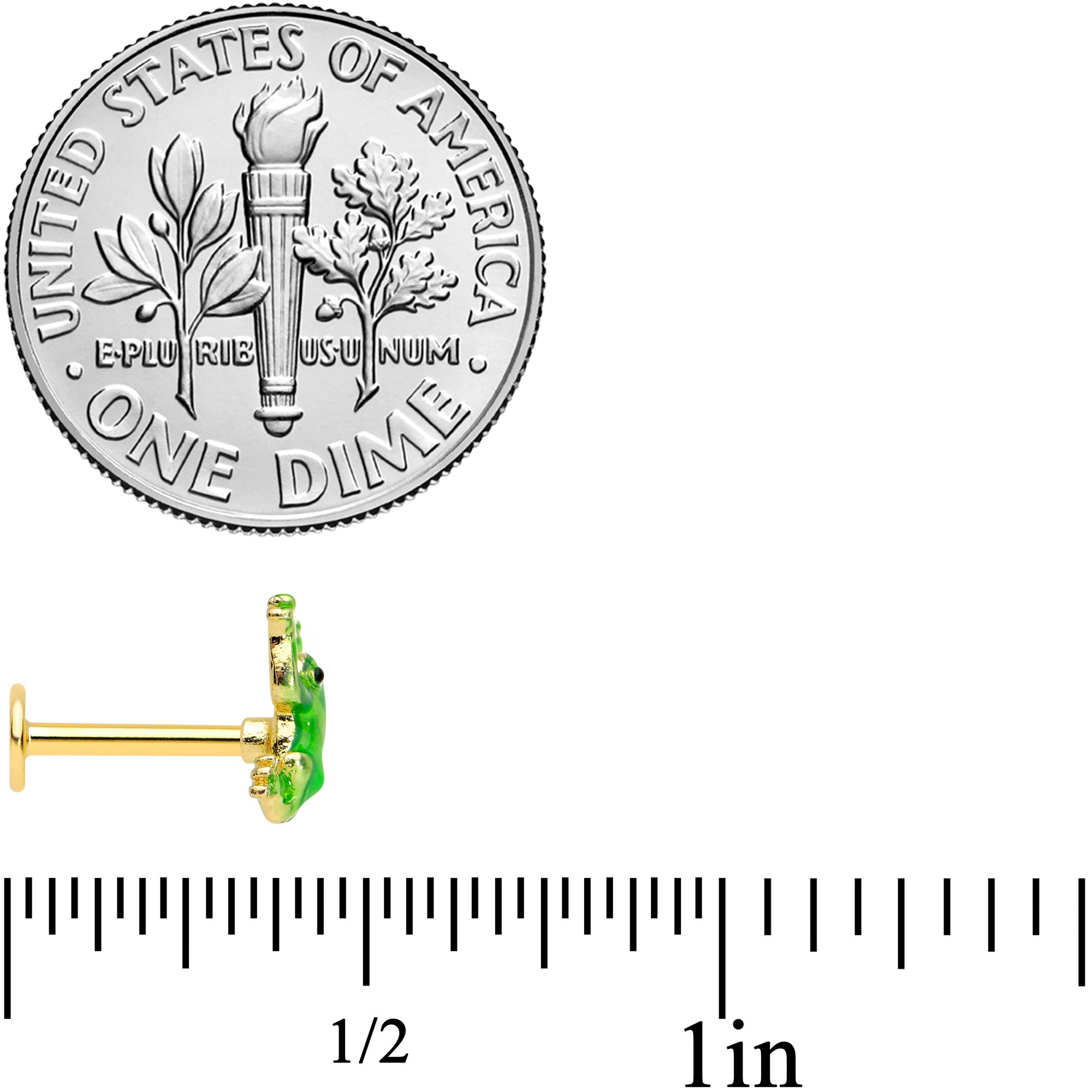 16G 5/16 Gold Tone Green Tree Frog Labret Monroe Tragus