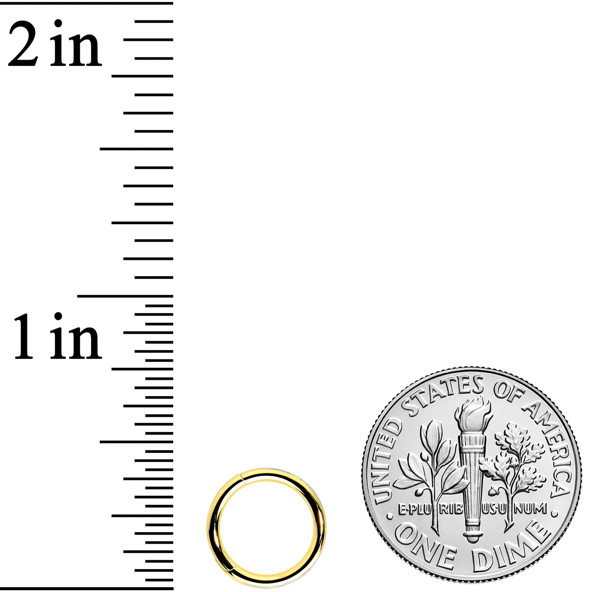 16G 5/16 White Synth Opal Gold Tone Forward Facing Segment Ring