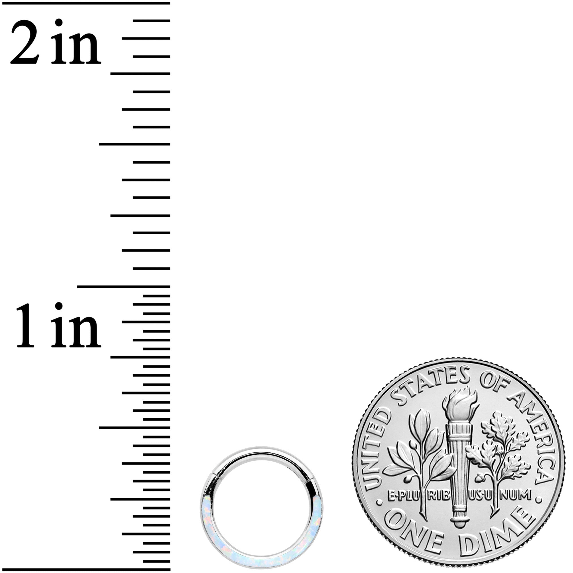 16G 5/16 White Synthetic Opal Bottom Curve Hinged Segment Ring