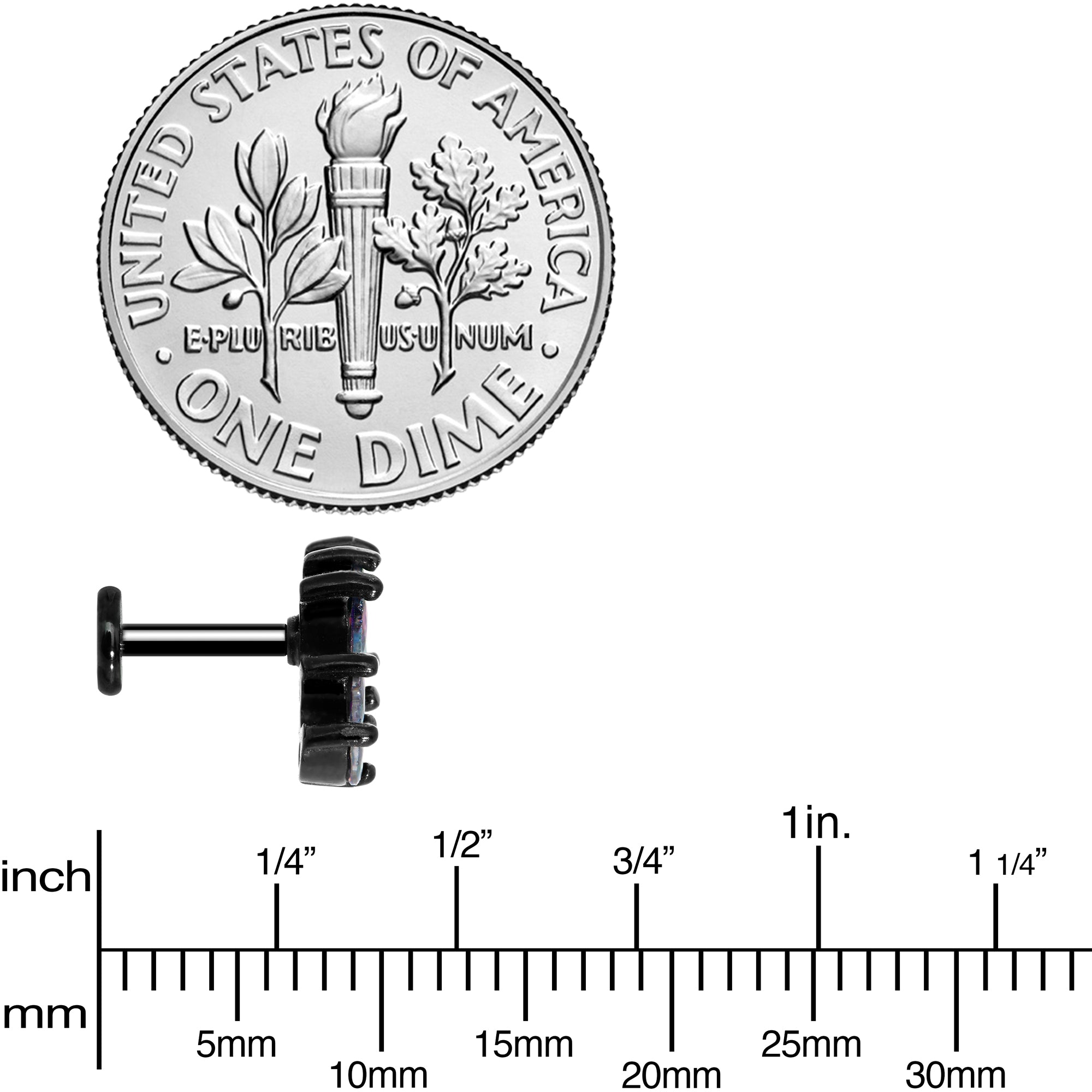 16G 1/4 Clear CZ Gem Black Fan Internally Threaded Labret Tragus