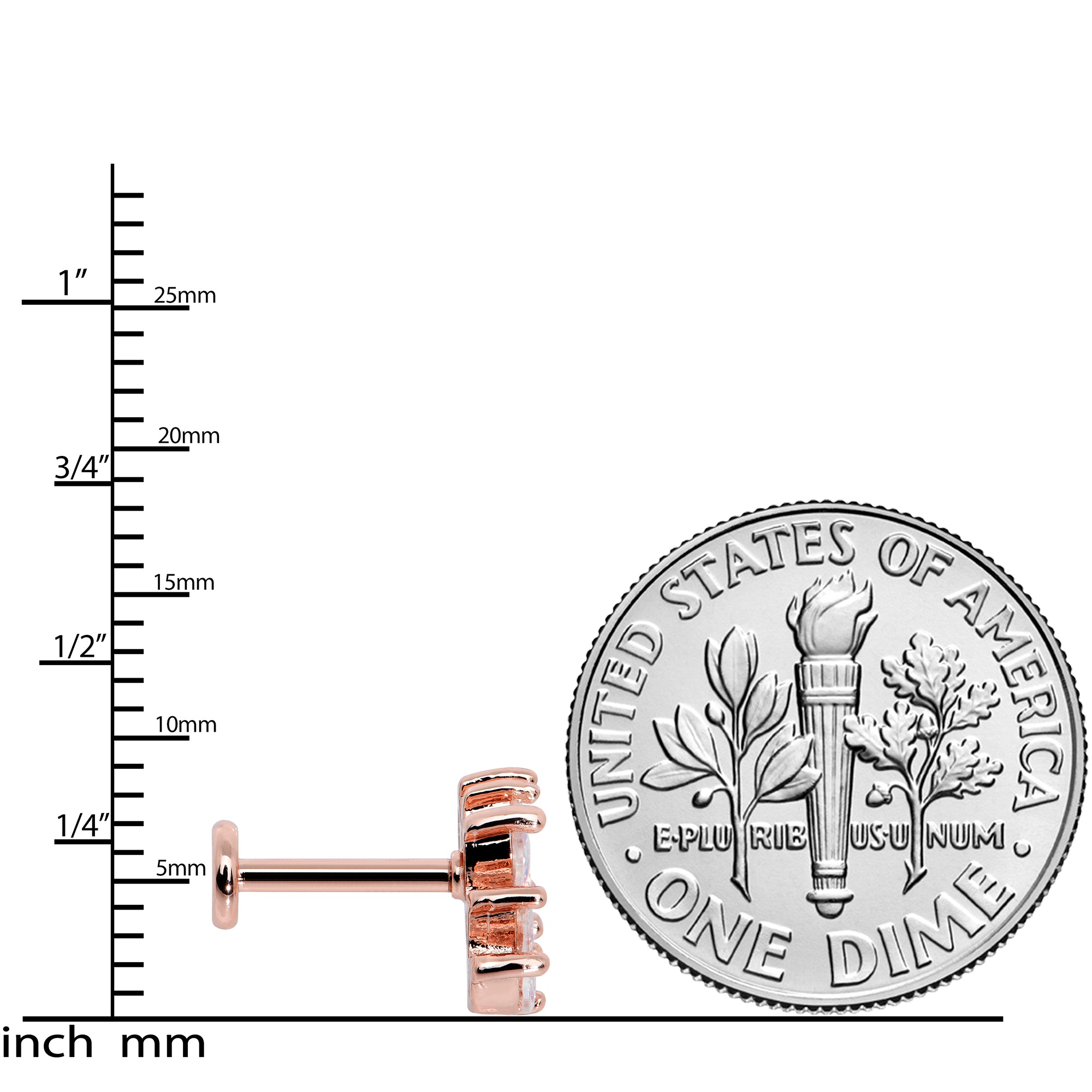 16G 5/16 Clear CZ Gem Rose Gold Hue Fan Internally Thread Labret