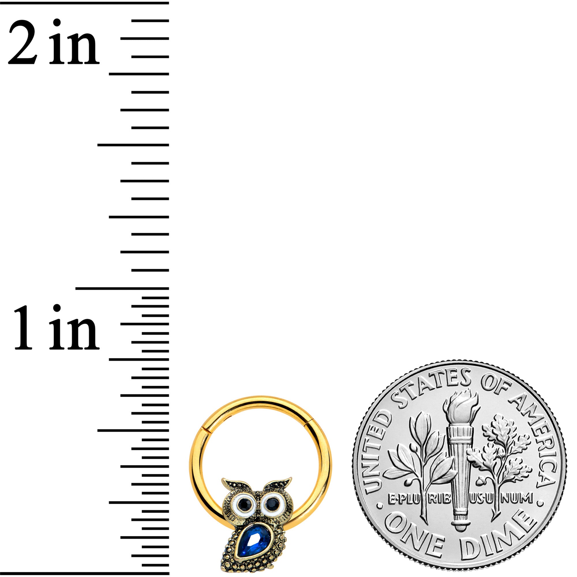 16G 3/8 Blue Gem Gold Tone Wide Eyed Owl Hinged Segment Ring