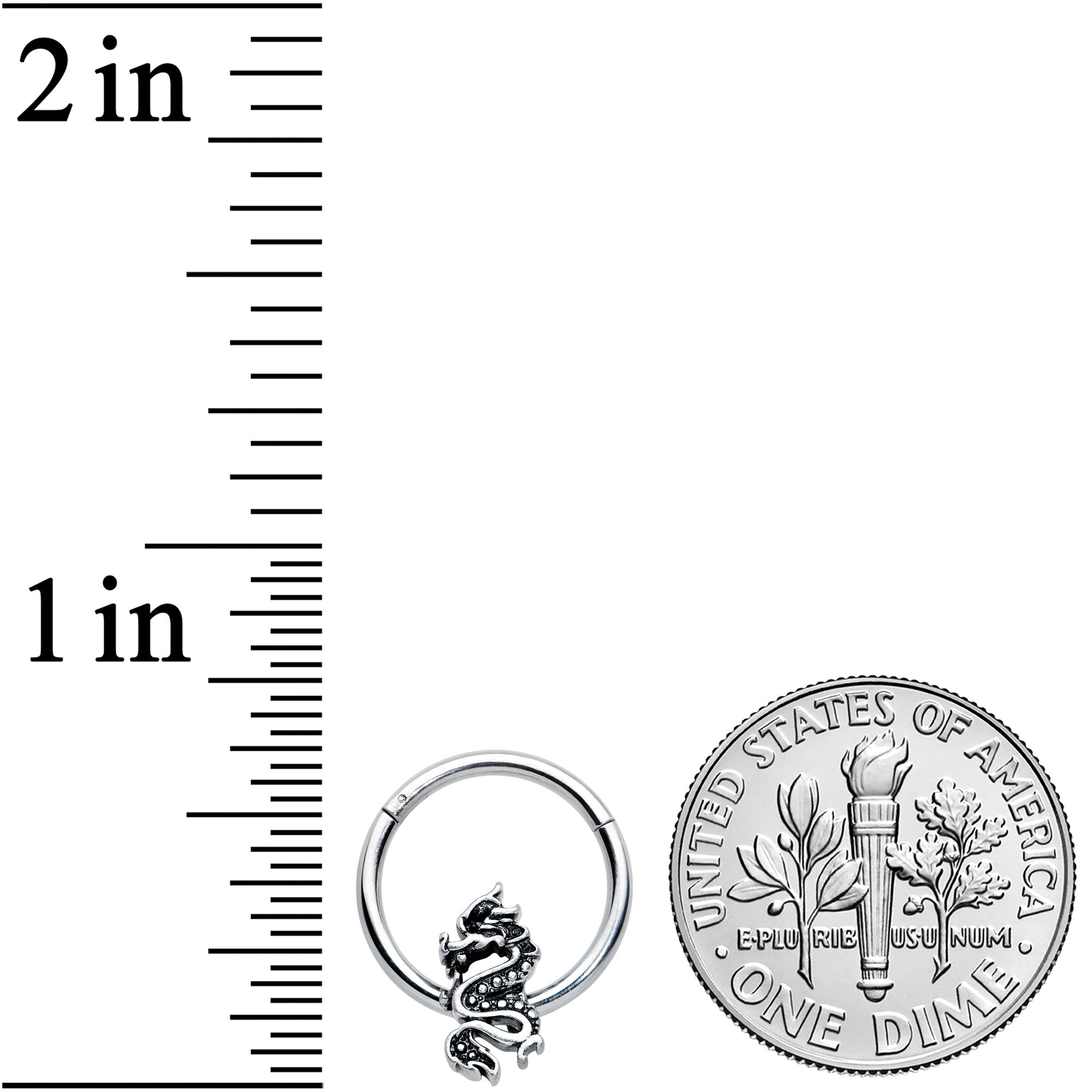 16G 3/8 Regal Medieval Dragon Hinged Segment Ring