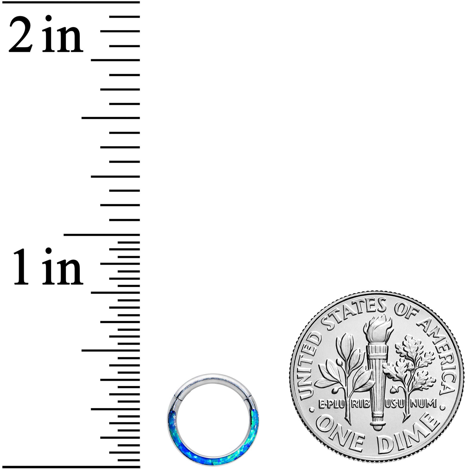 16G 5/16 Blue Synthetic Opal Bottom Curve Hinged Segment Ring