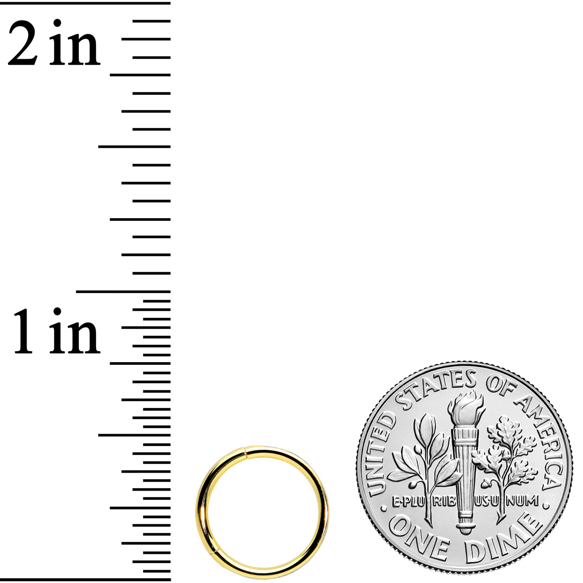 16G 3/8 White Synth Opal Gold Hue Sleek Forward Face Segment Ring