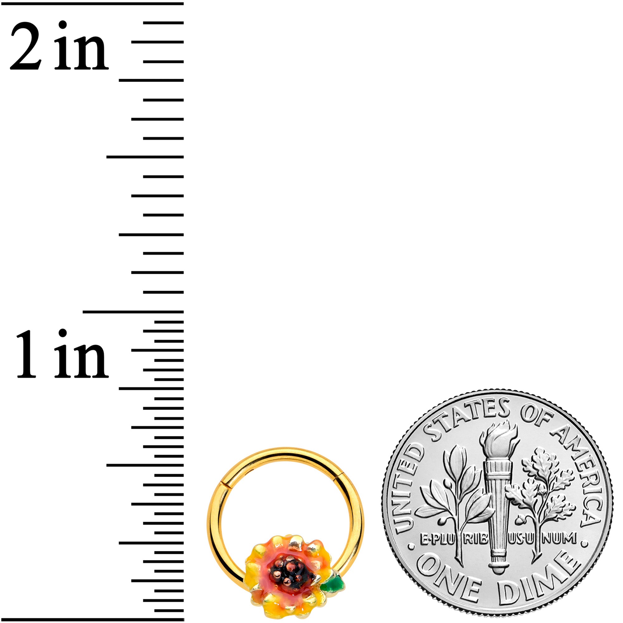 16G 3/8 Gold Tone Summer Sunflower Hinged Segment Ring