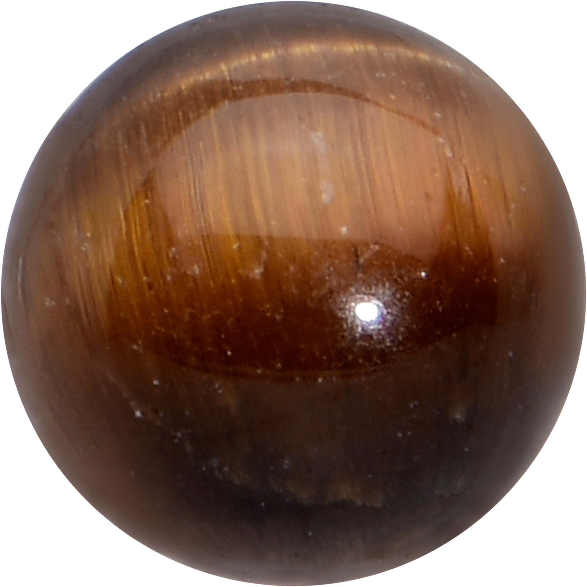 16G 1/4 Elegant Brown Tiger Eye Internal Threaded Labret Tragus