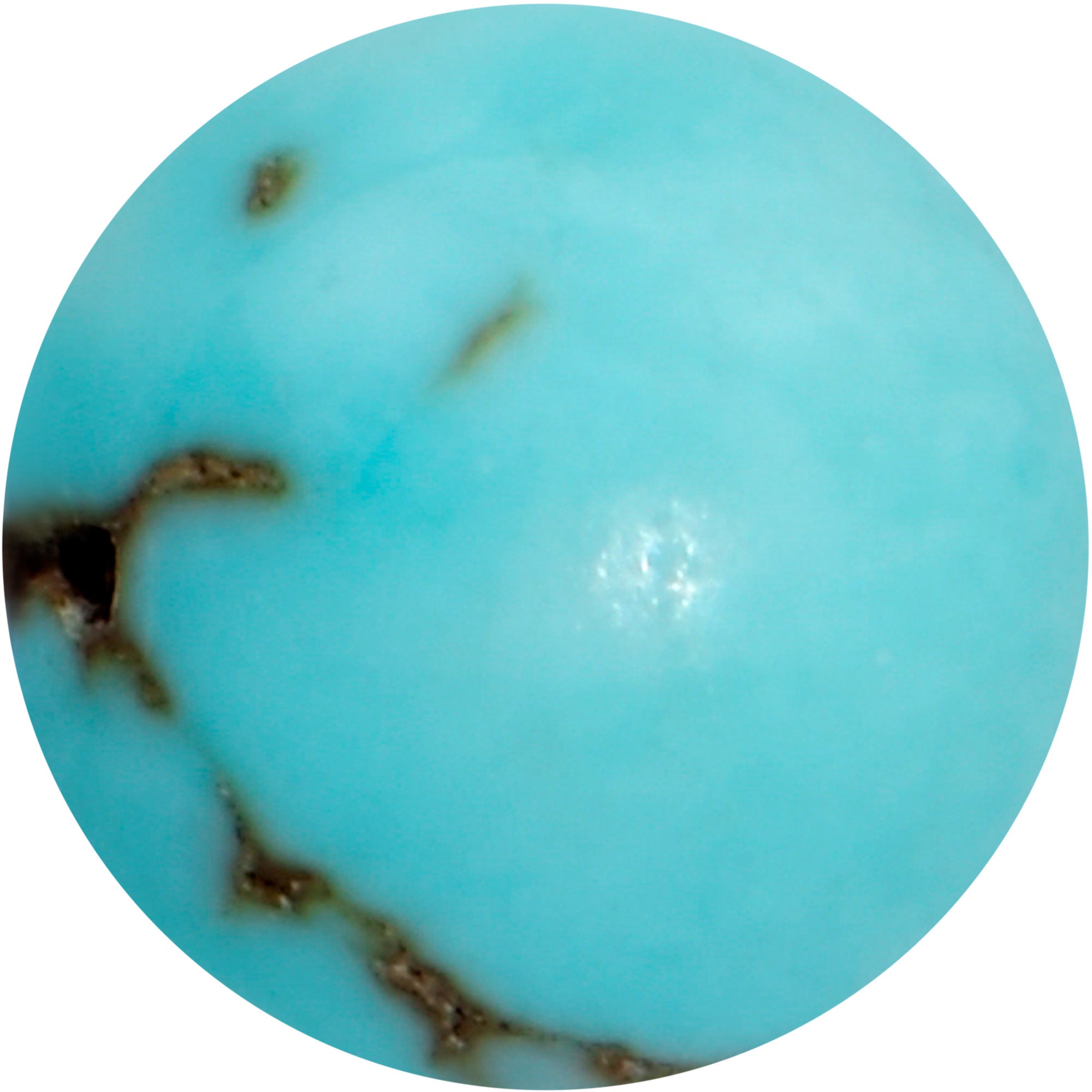 16G 1/4 Elegant Blue Turquoise Internally Threaded Labret Tragus