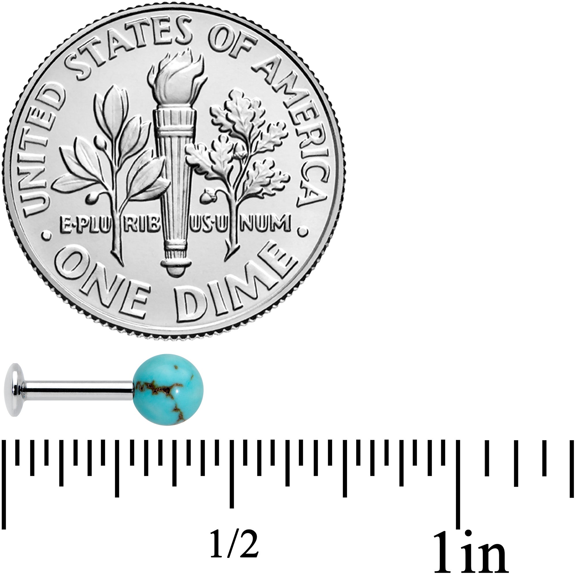 16G 1/4 Elegant Blue Turquoise Internally Threaded Labret Tragus